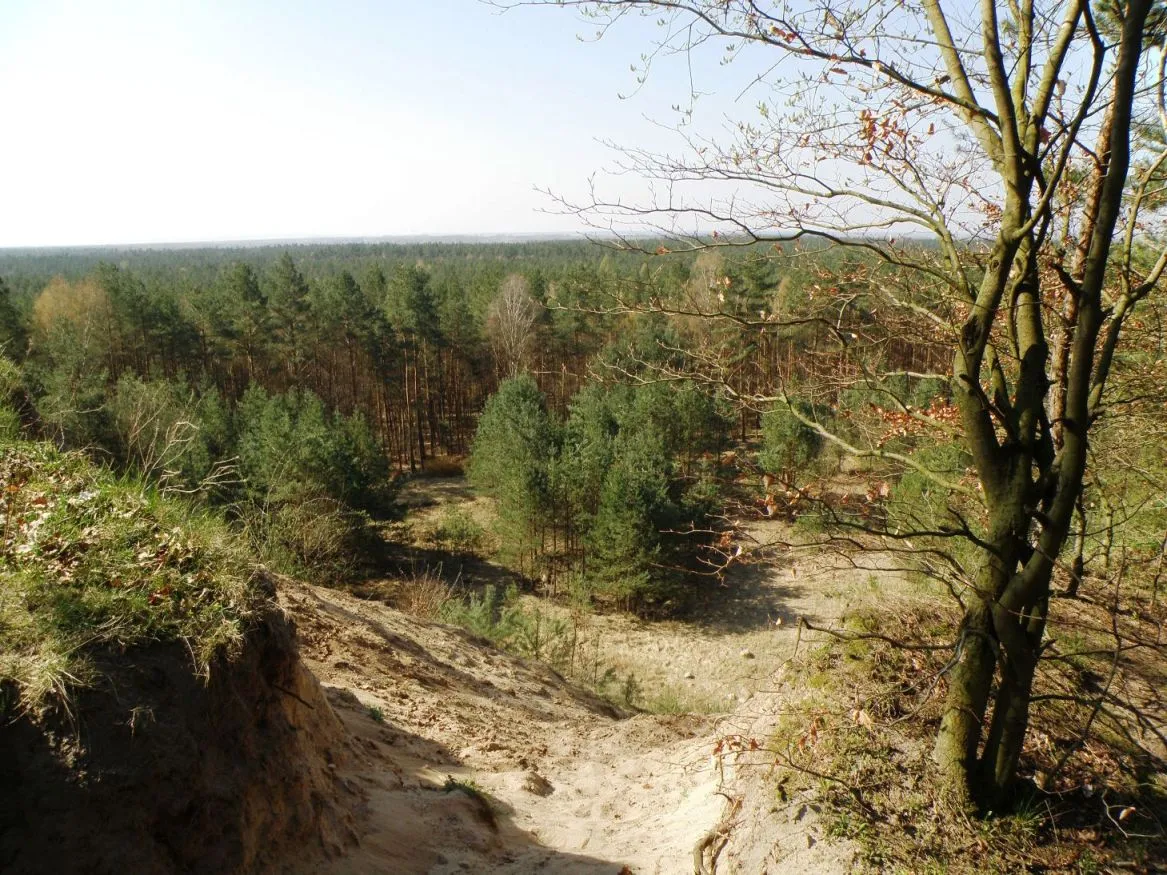 Photo showing: widok ze wzgórza przy Zielonczynie