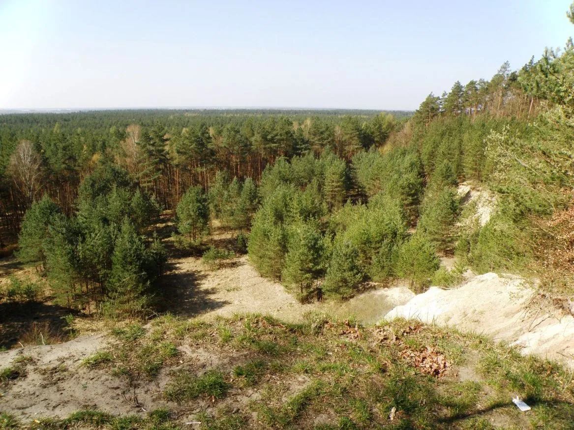 Photo showing: widok ze wzgórza koło Zielonczyna