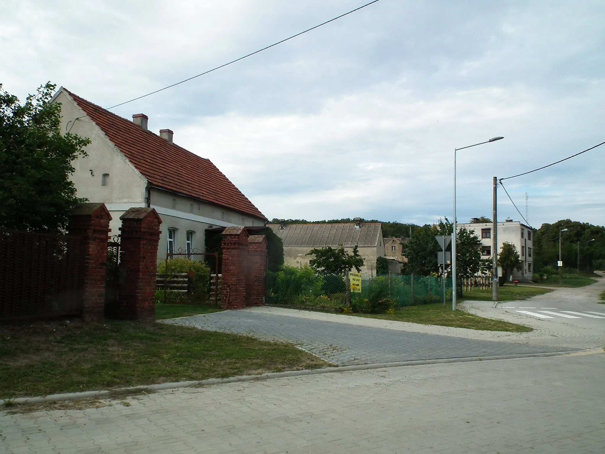 Photo showing: Dębogóra - pow. poznański, Puszcza Zielonka.
