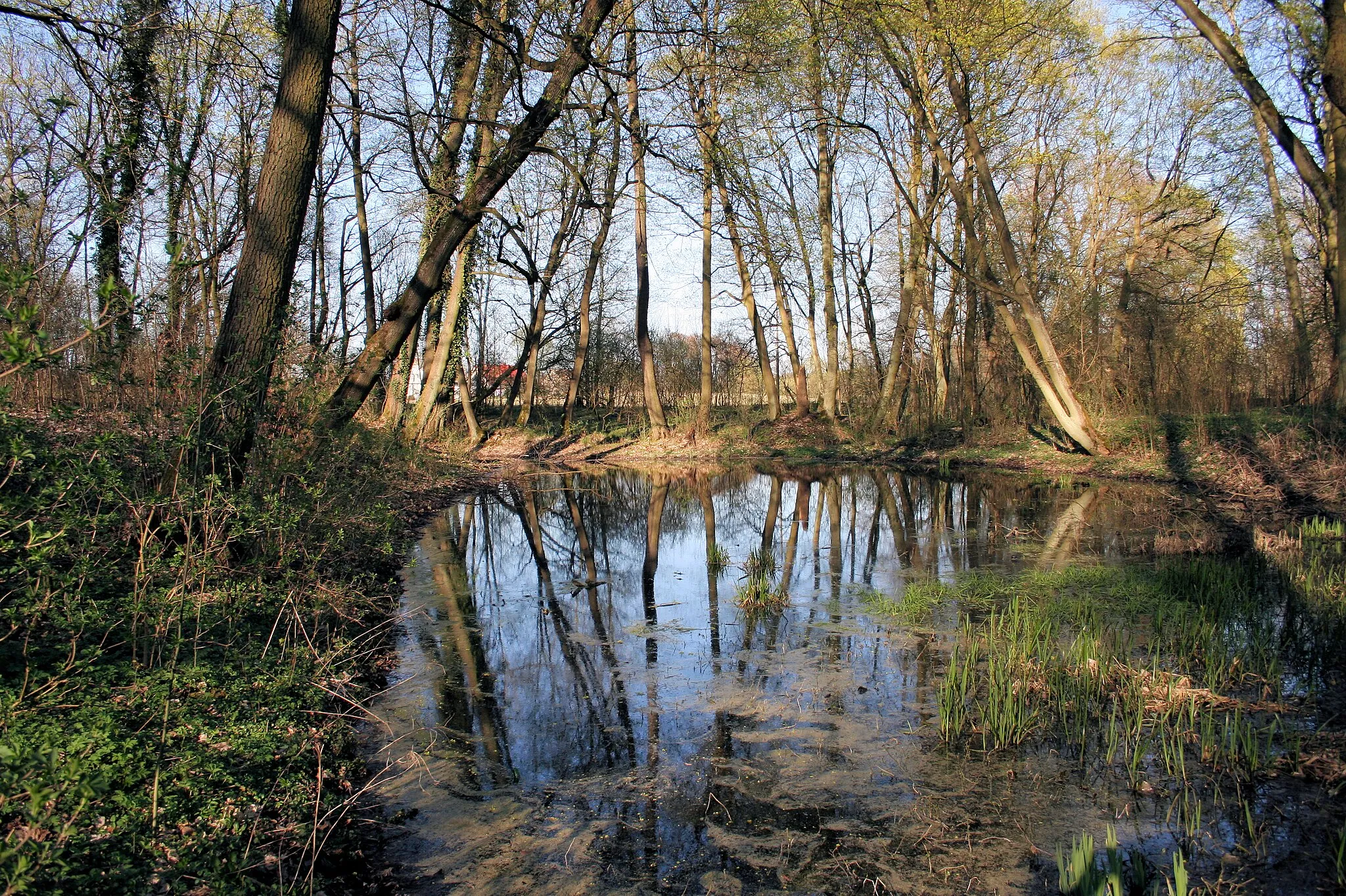 Photo showing: Landscape Park in Dyszno
