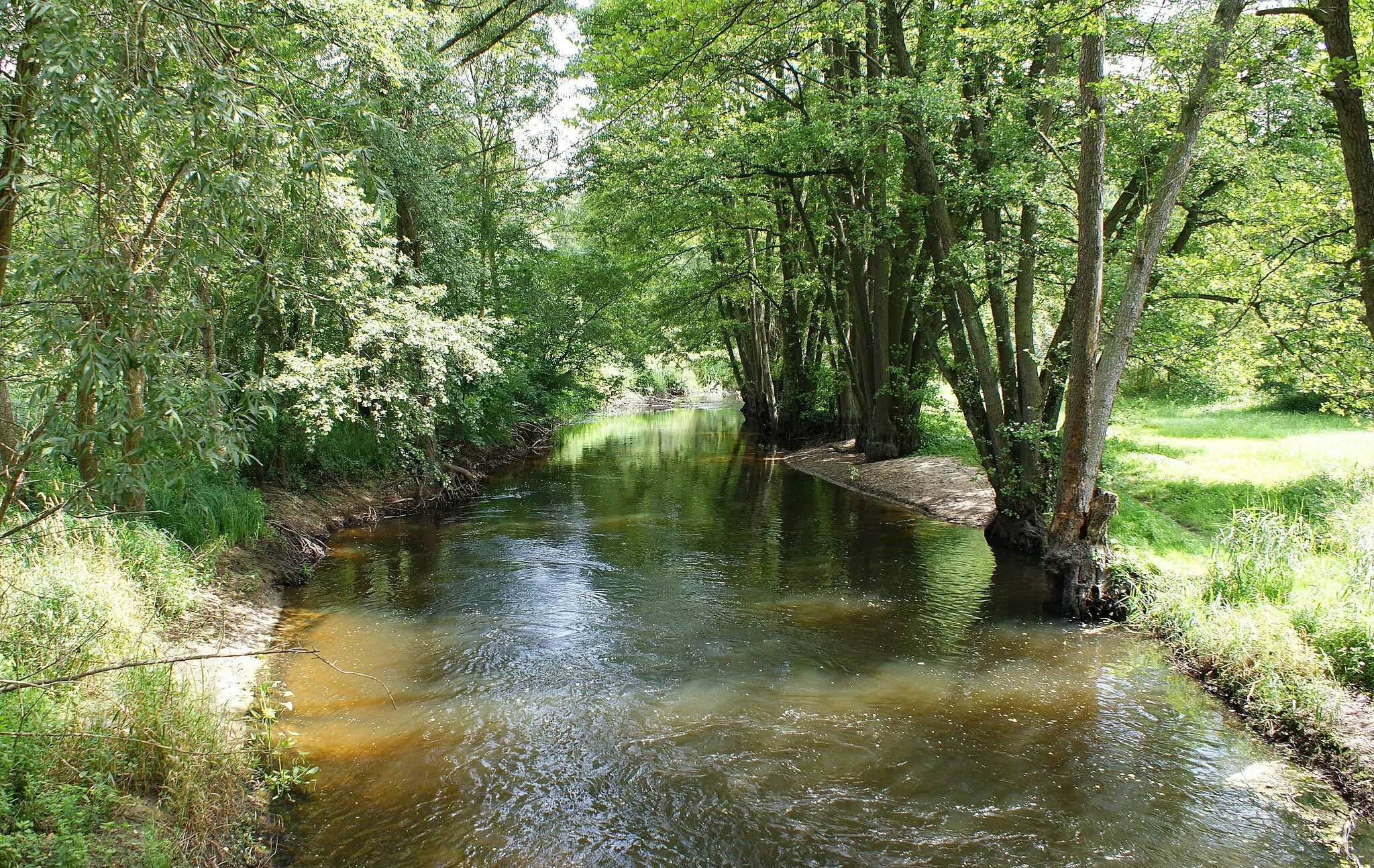 Photo showing: Myśla river in Mostno (NW Poland)