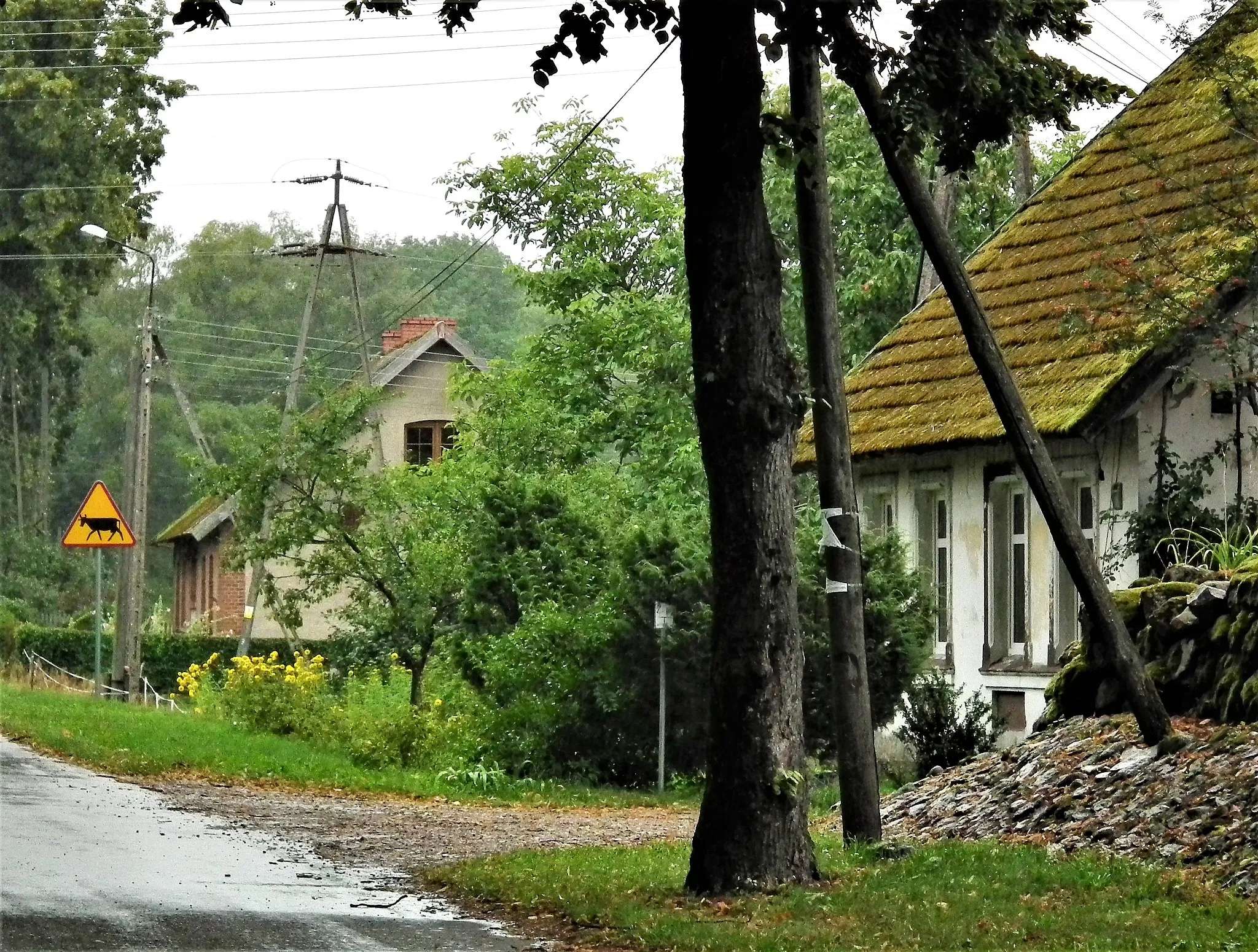 Photo showing: Wieś Kołtki.