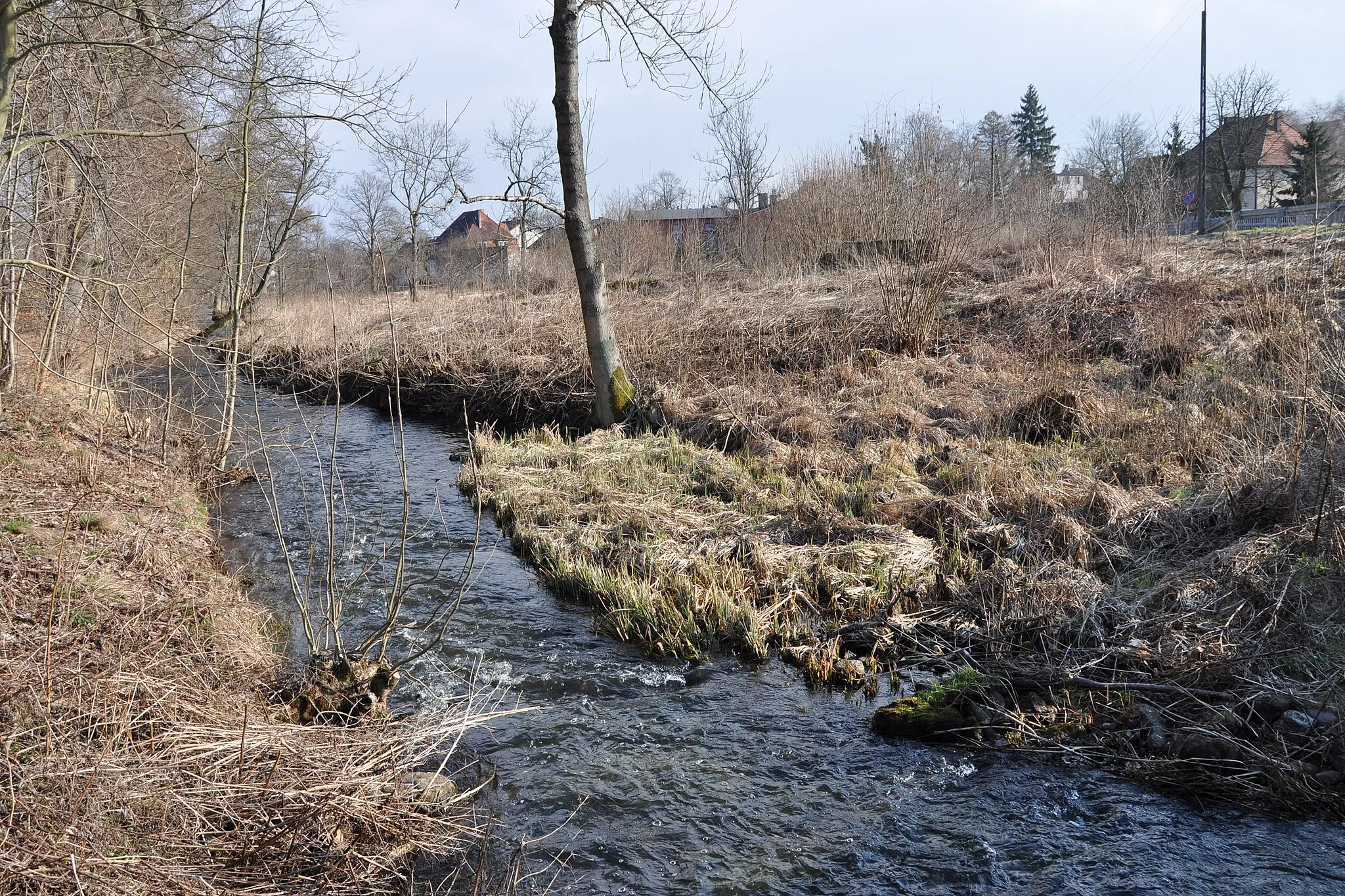 Photo showing: Rudnica w Kuźnicy Czarnkowskiej – ujęcie przy moście drogi wojewódzkiej nr 178