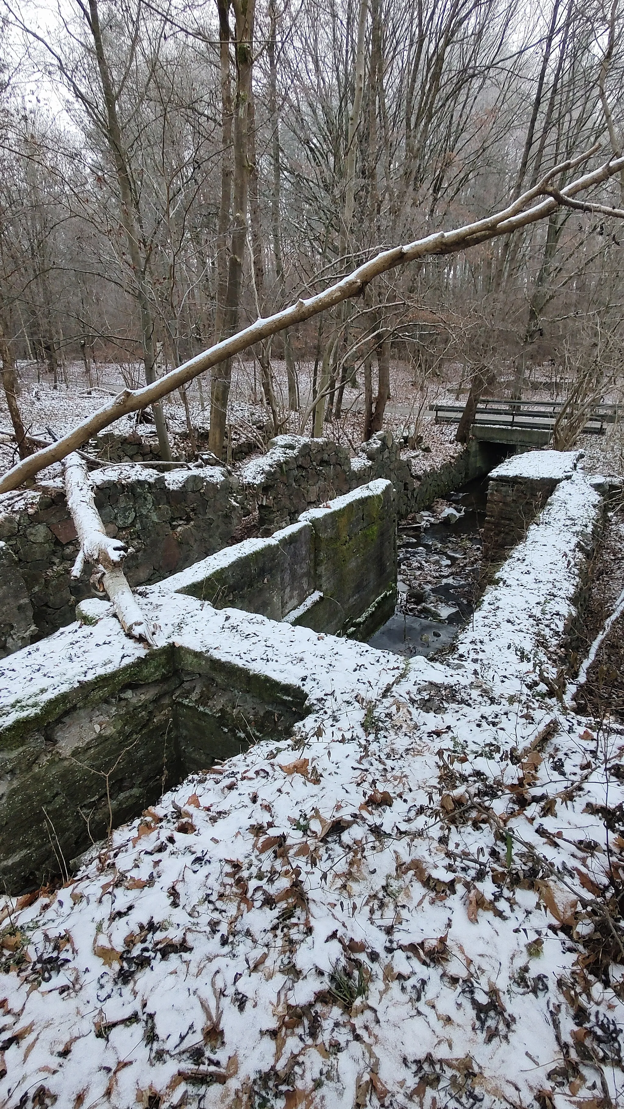 Photo showing: Ruiny młyna w Bączniku w grudniu