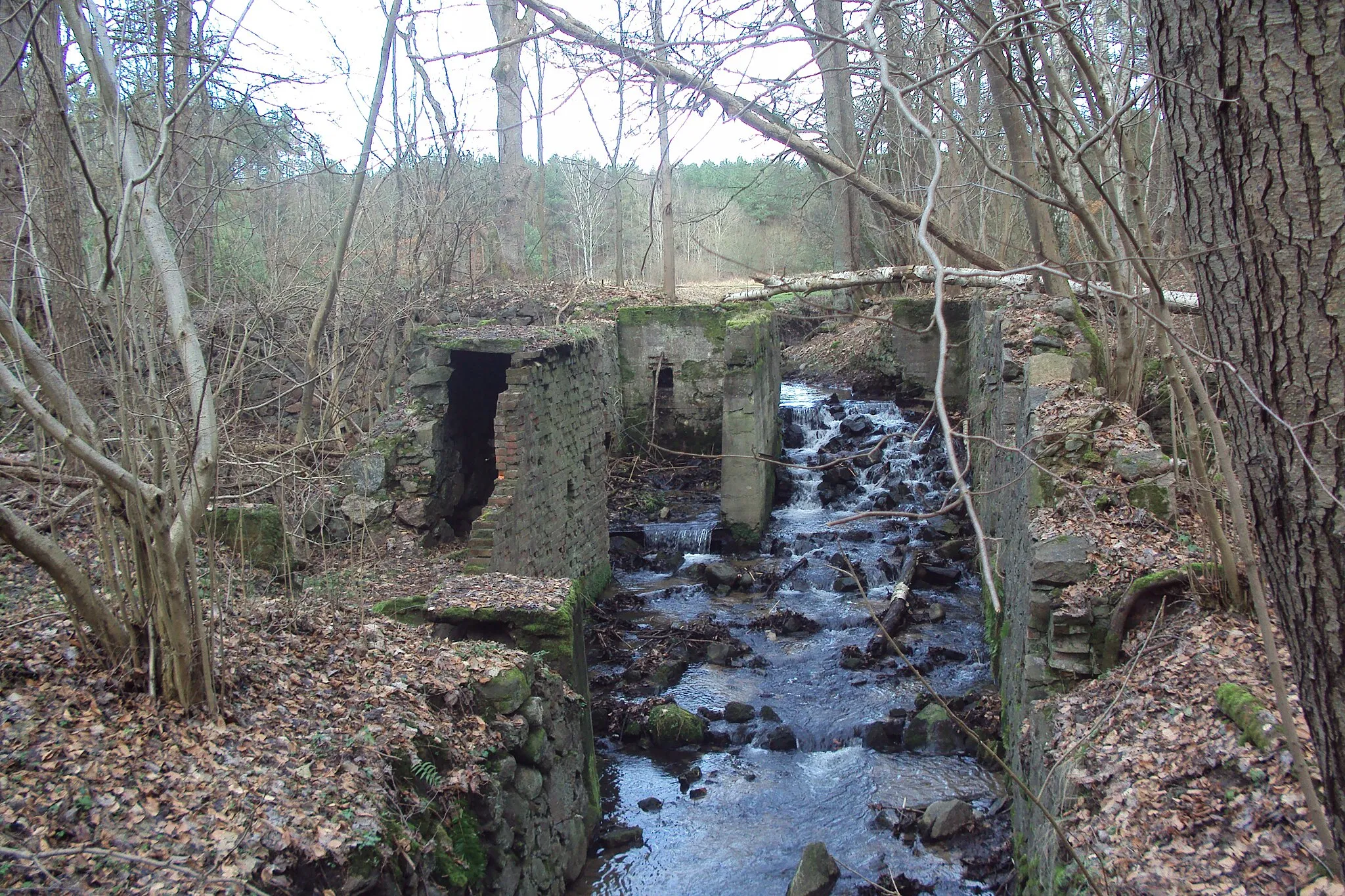 Photo showing: Ruiny młyna w Bączniku