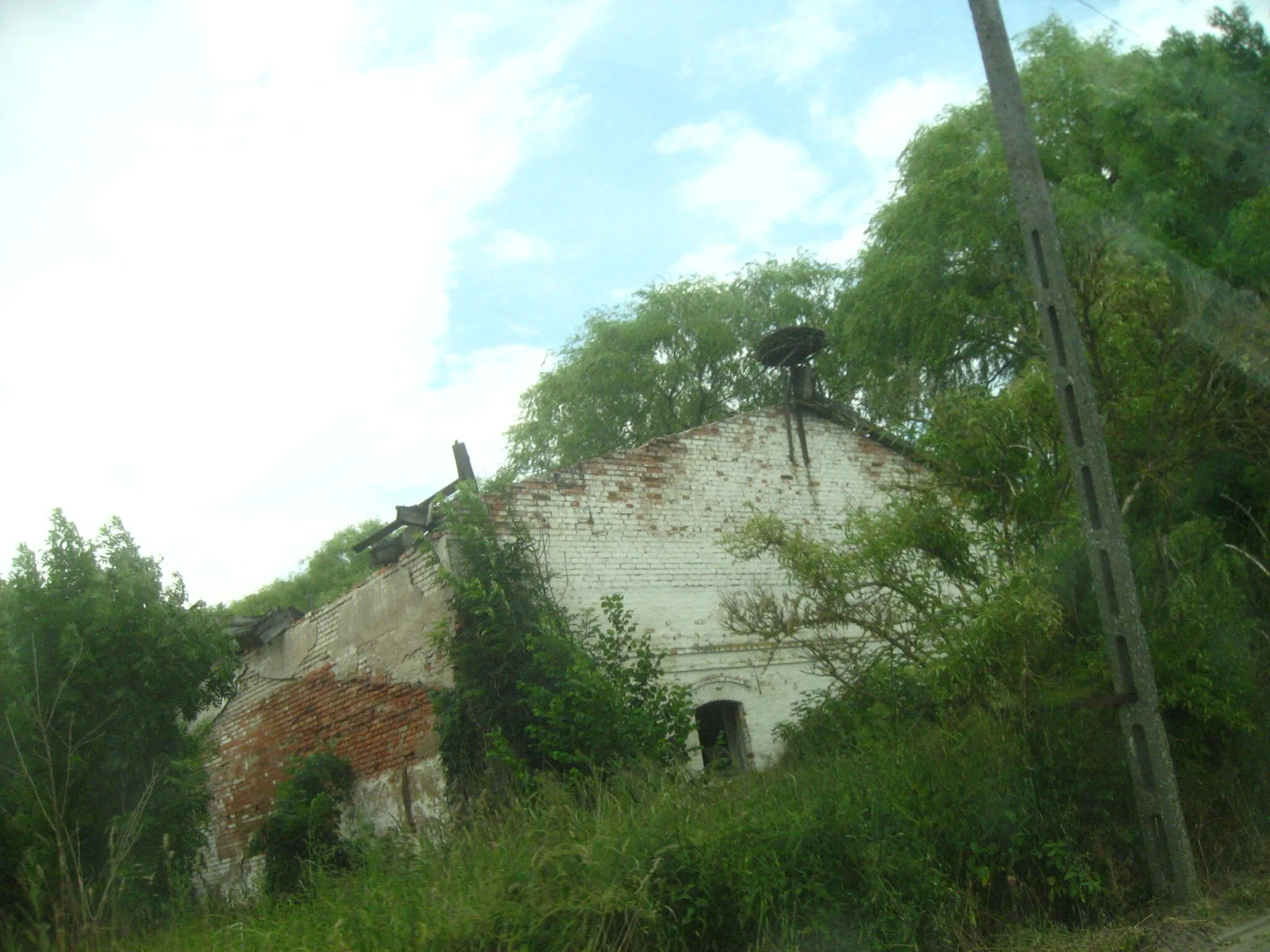 Photo showing: stork nest in poland