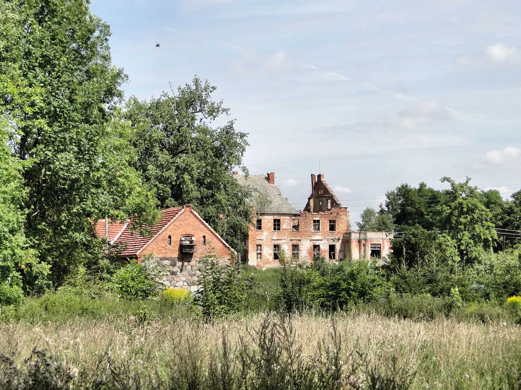 Photo showing: Gądno - ruiny pałacu