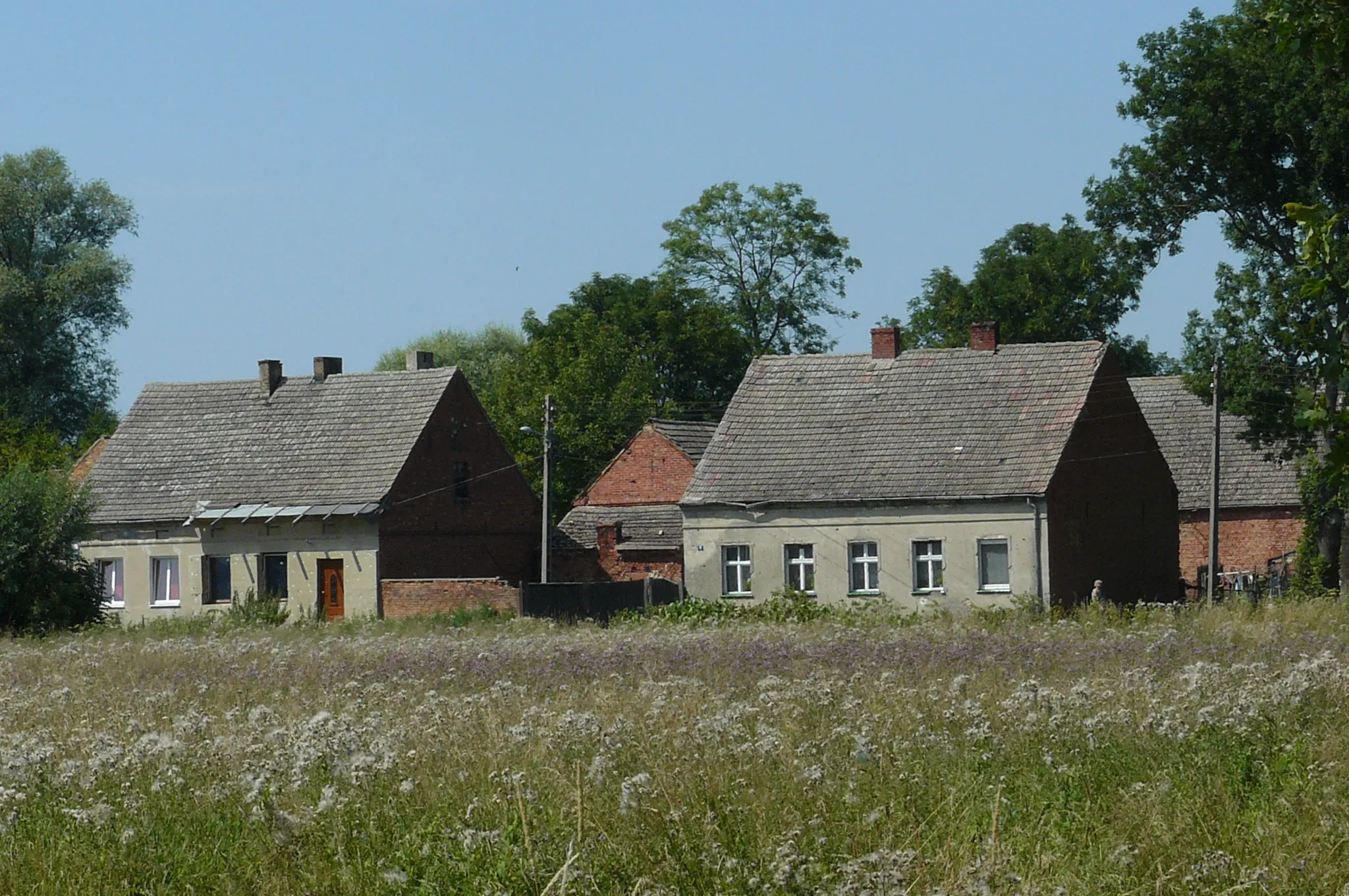 Photo showing: Giżyn koło Pyrzyc.