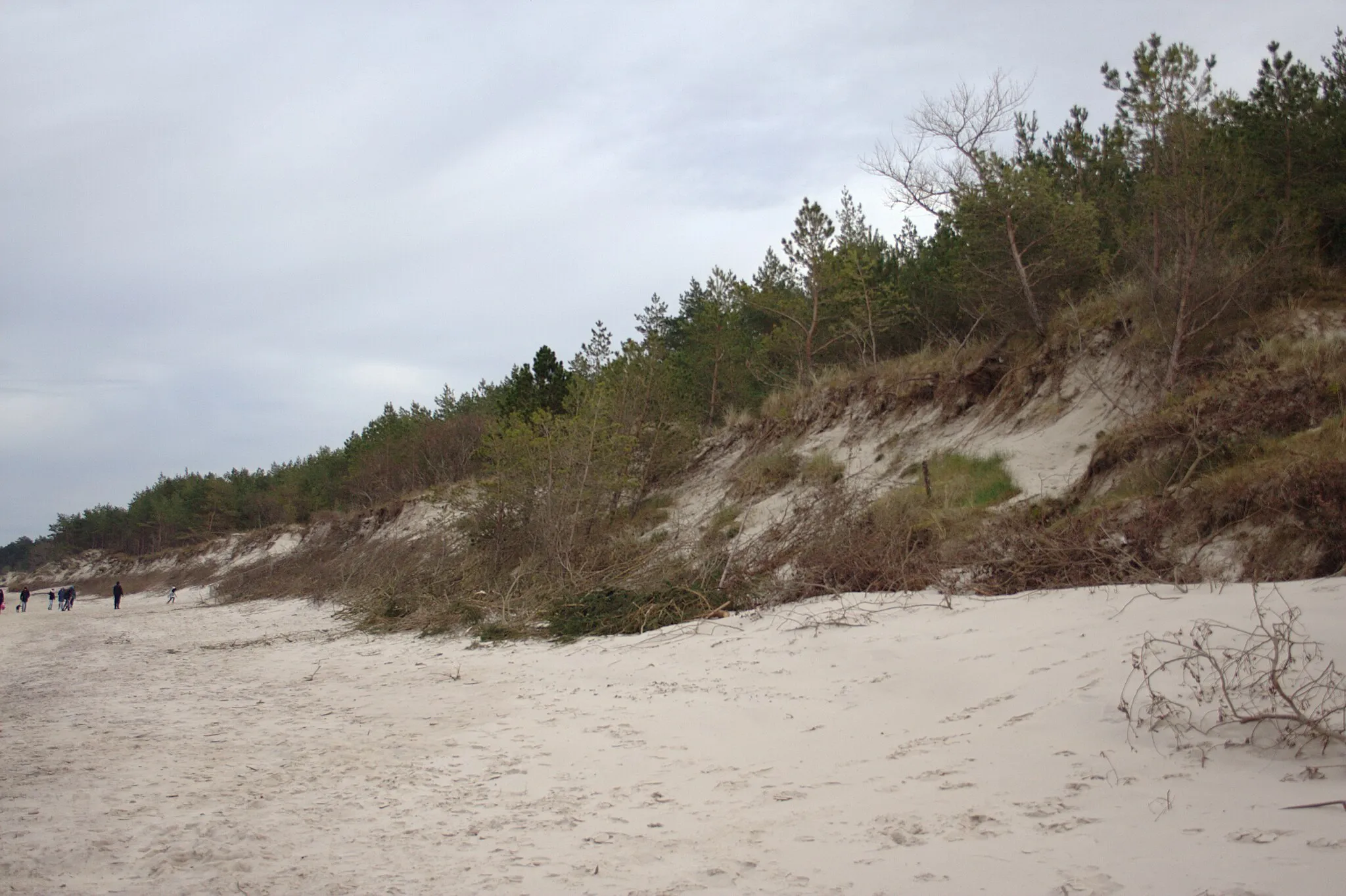 Photo showing: Fragment plaży w miejscowości Grzybowo