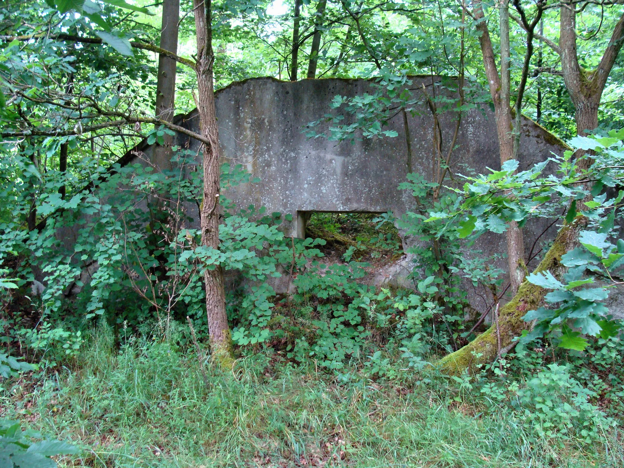 Photo showing: Ruiny pałacyku w Gunicach