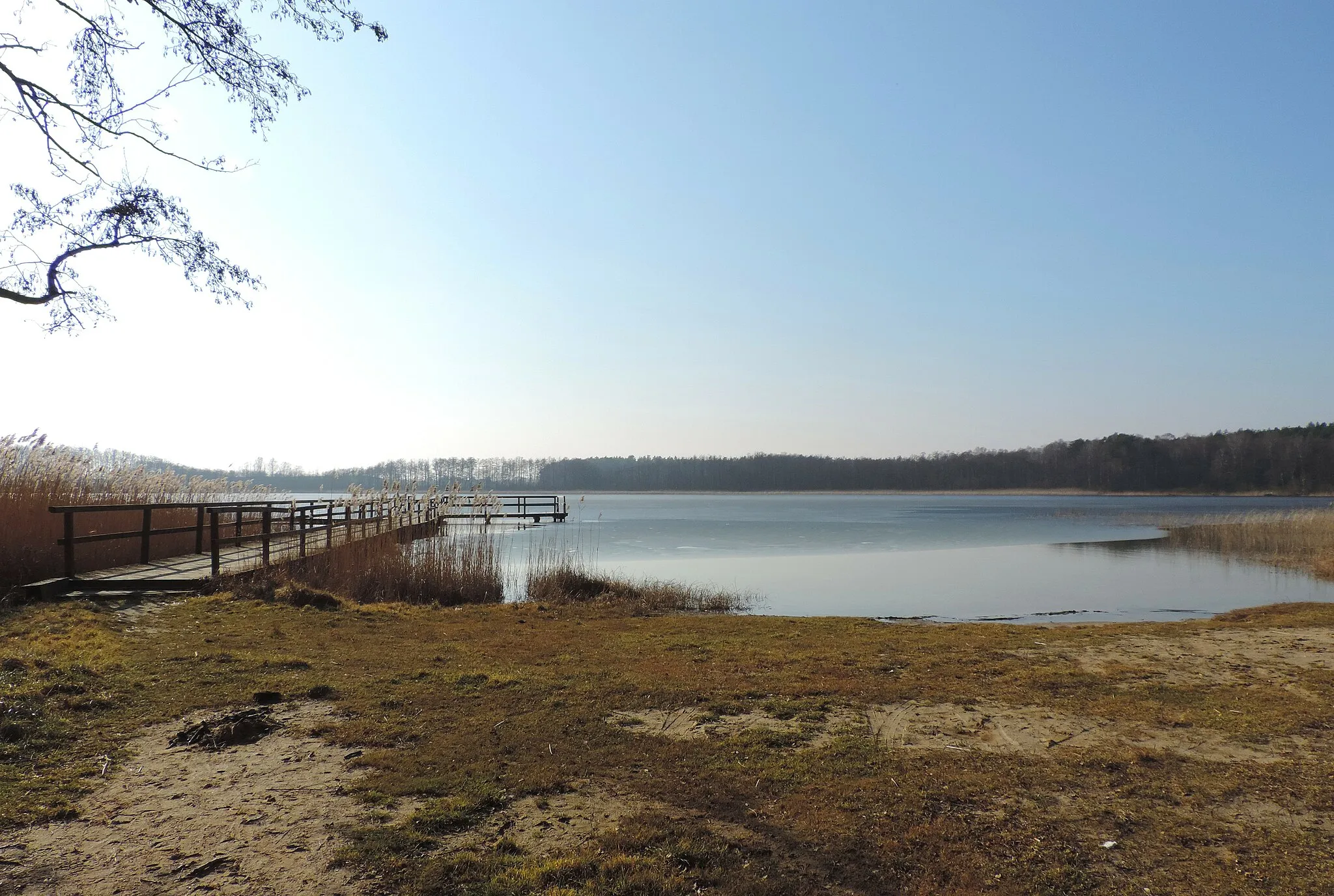 Photo showing: Karskie Wielkie Lake. Beach in northern part, near Kinice village