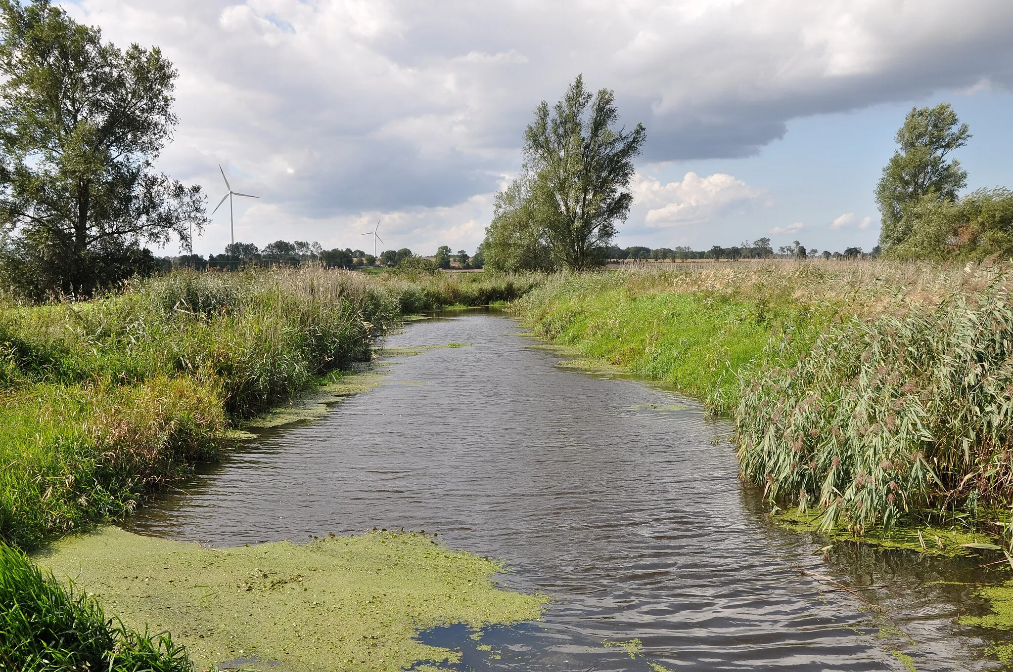 Photo showing: Rzeka Czerwona z mostu na południe od wsi Kładno
