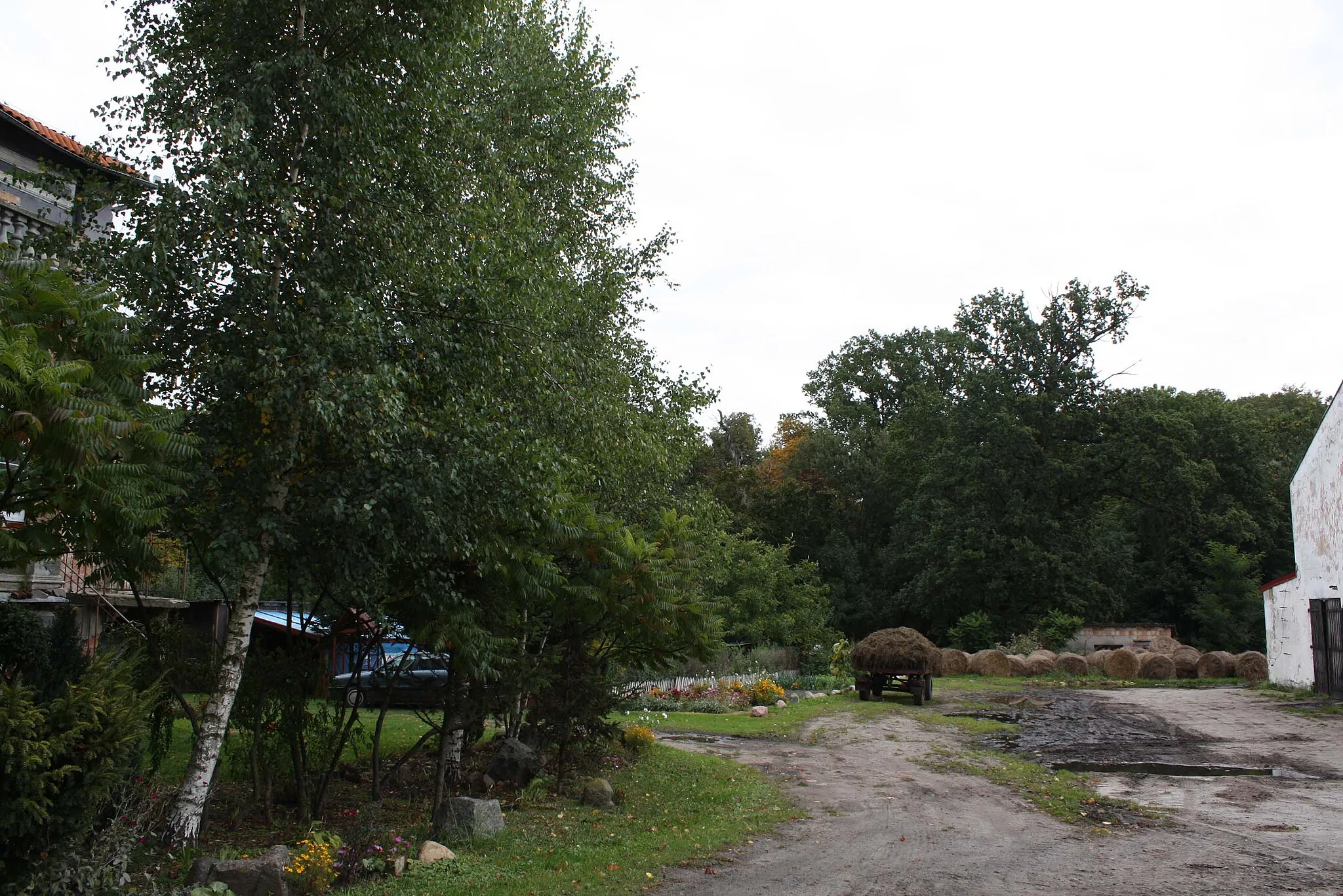 Photo showing: Pałac (park dworski) w Kraśniku Koszalińskim