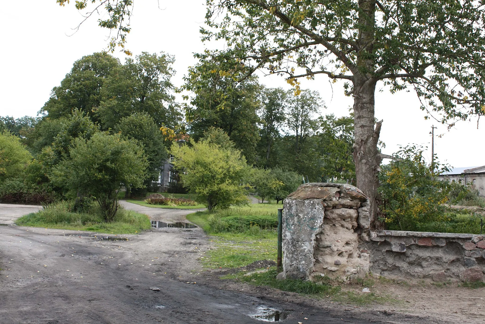 Photo showing: Pałac (park dworski) w Kraśniku Koszalińskim