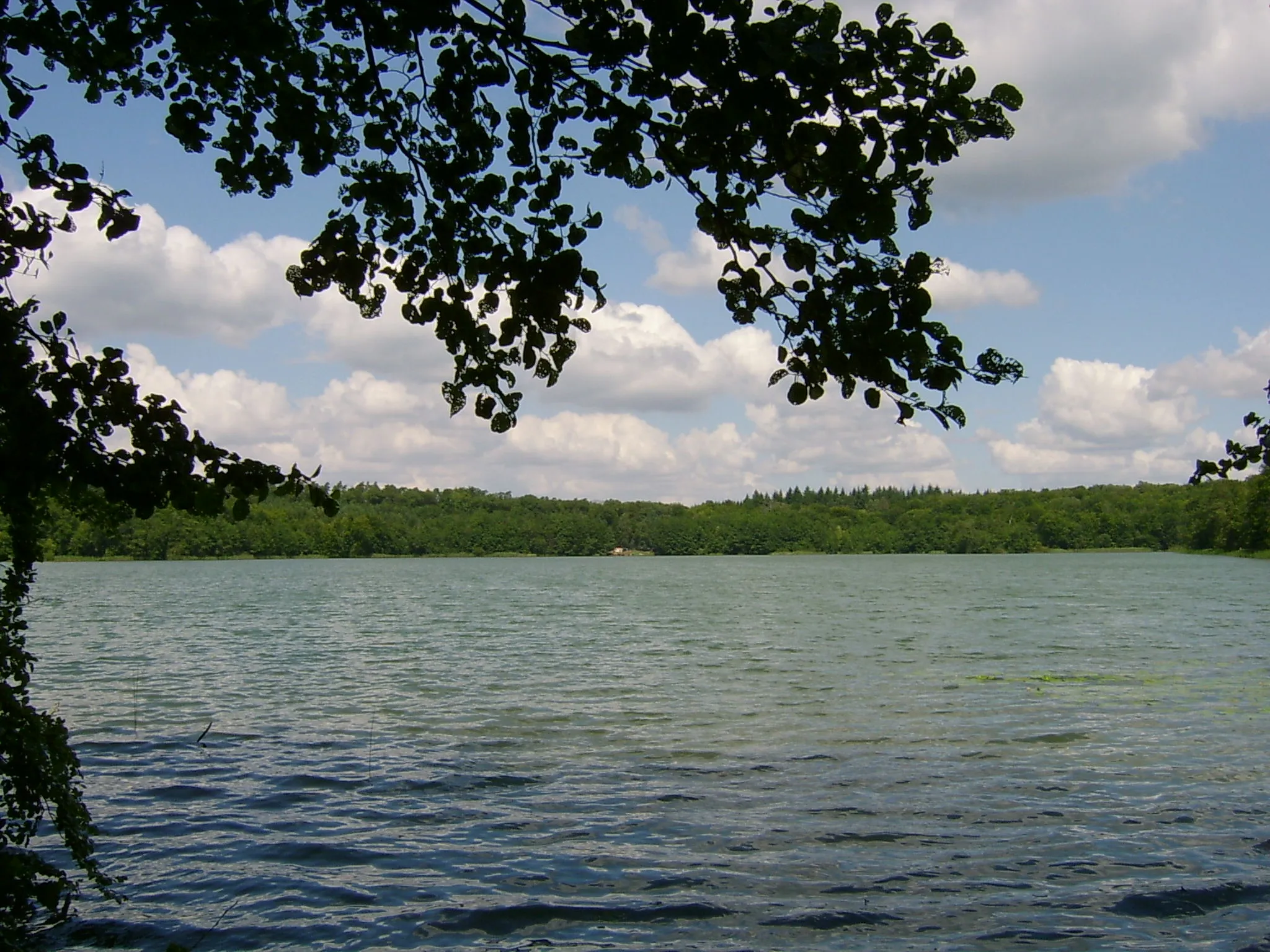 Photo showing: Jezioro Sitno Moczydelskie - obok wsi Moczydło, gmina Barlinek, woj. zachodniopomorskie, Poland.