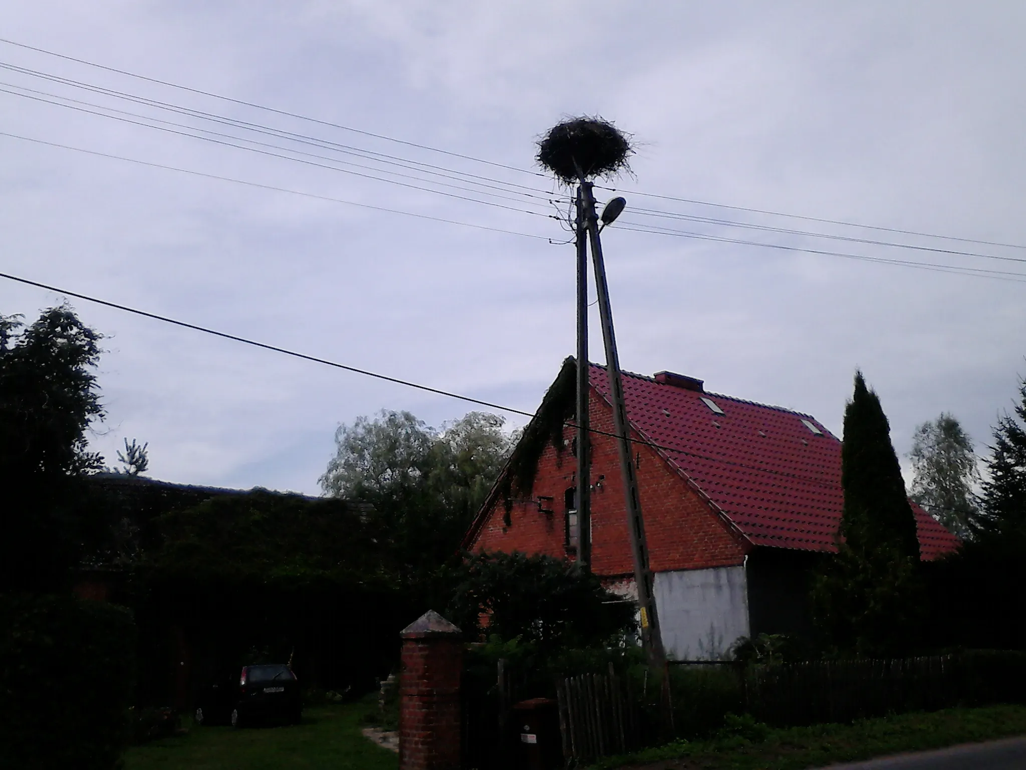 Photo showing: Gniazdo bociana w Drawnie