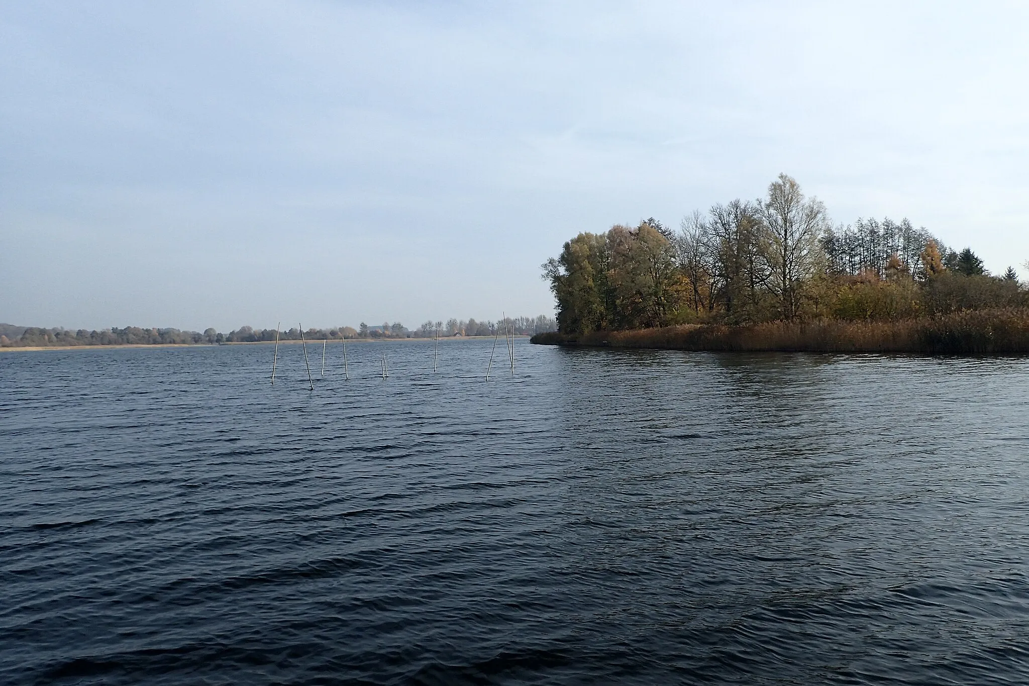 Photo showing: Jezioro Strzeszowskie, Strzeszowskie Lake in Strzeszów, West Pomerania, NW Poland