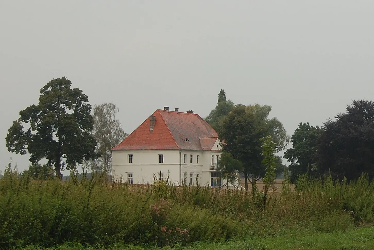 Photo showing: Pałac w Tywicy z drogi wojewódzkiej nr 121