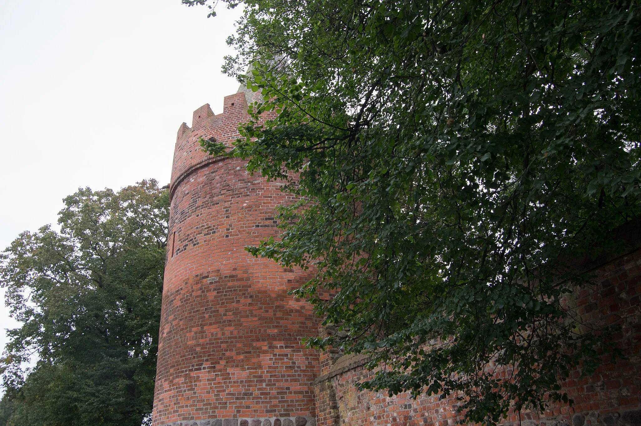 Photo showing: Angermünde in Brandenburg. Die Stadtbefestigung steht unter Denkmalschutz. Hier der Pulverturm.