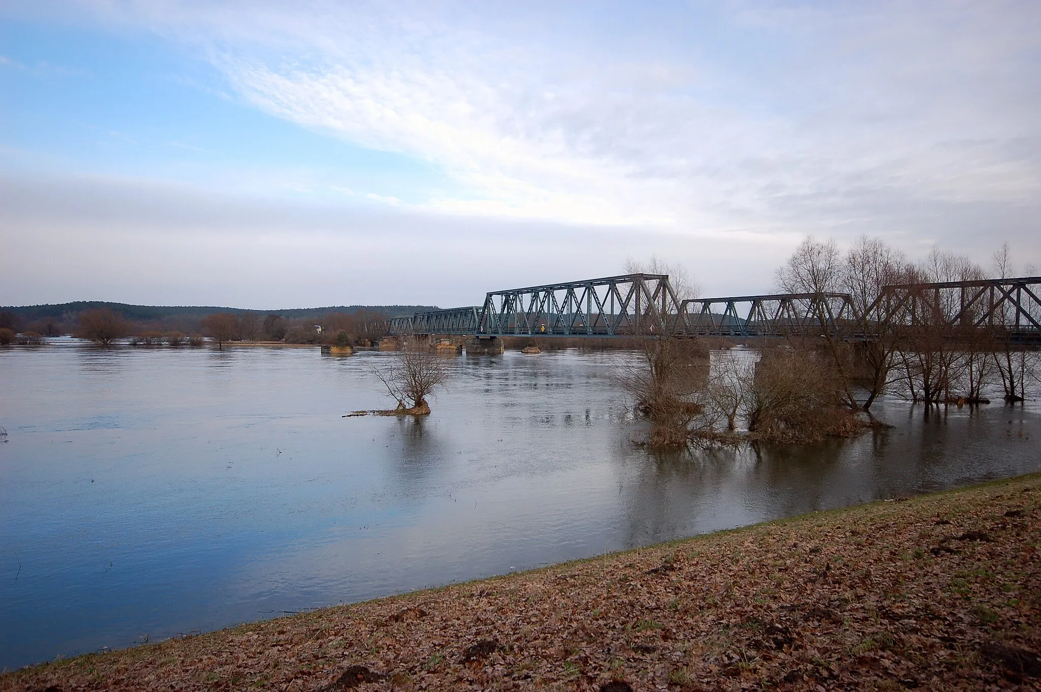 Photo showing: Oderbrücke Bienenwerder, Bahnhof Siekierki, Bahnhof Neu Rüdnitz 13.02.2011