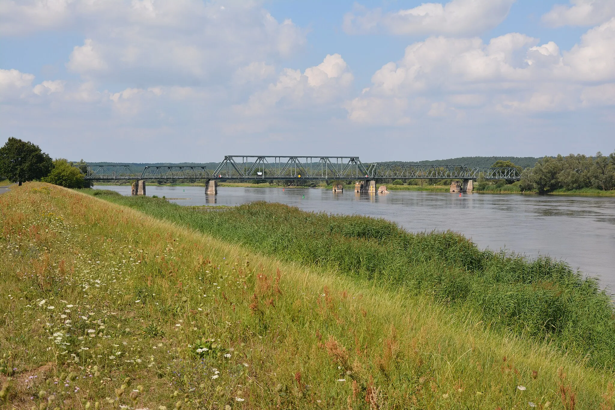 Photo showing: Oderbrücke Bienenwerder der ehemaligen Wriezener Bahn