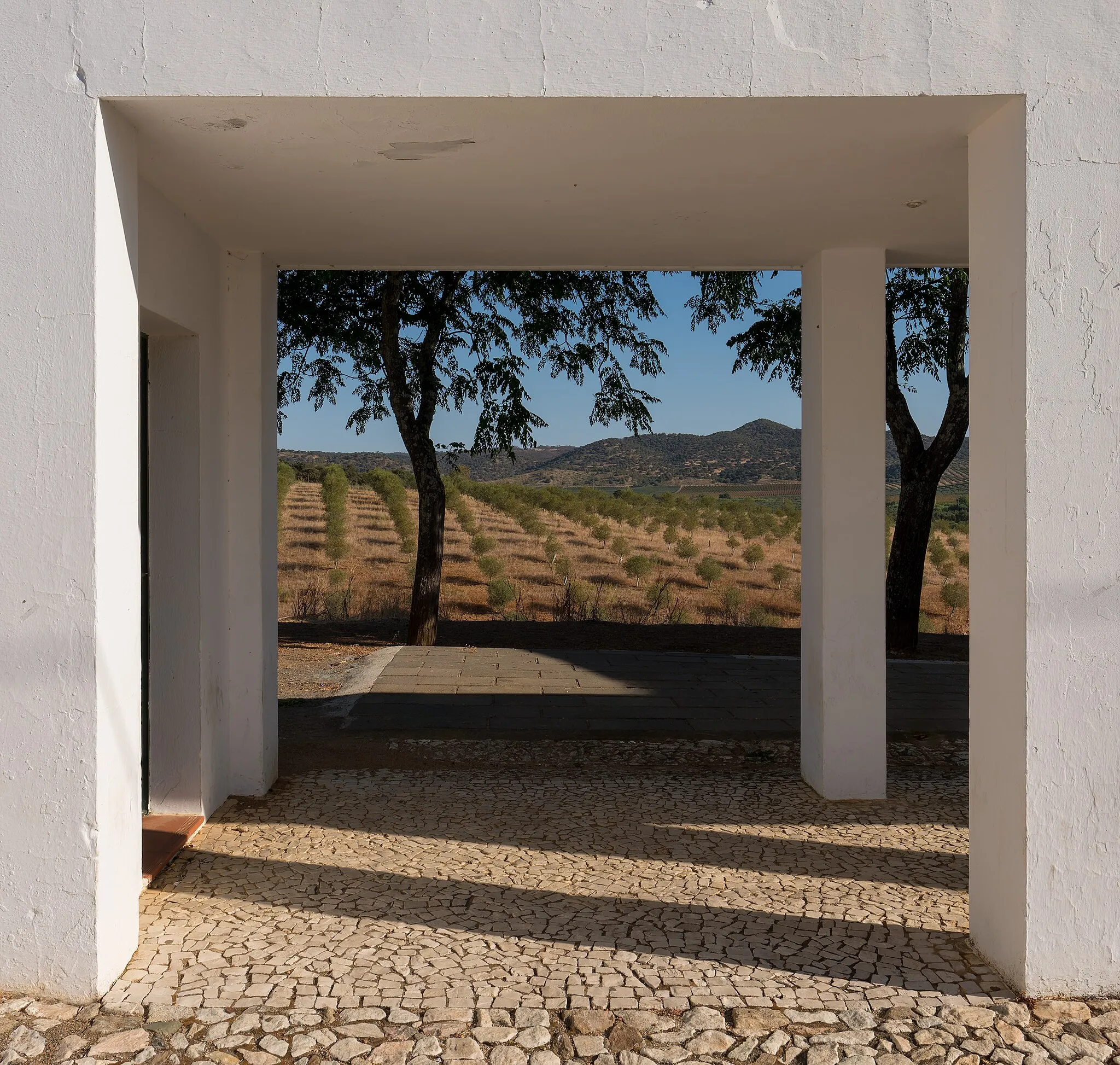 Photo showing: Olive tree plantation seen through an arch, Marmelar, Vidigueira, Portugal (PPL3-Altered)