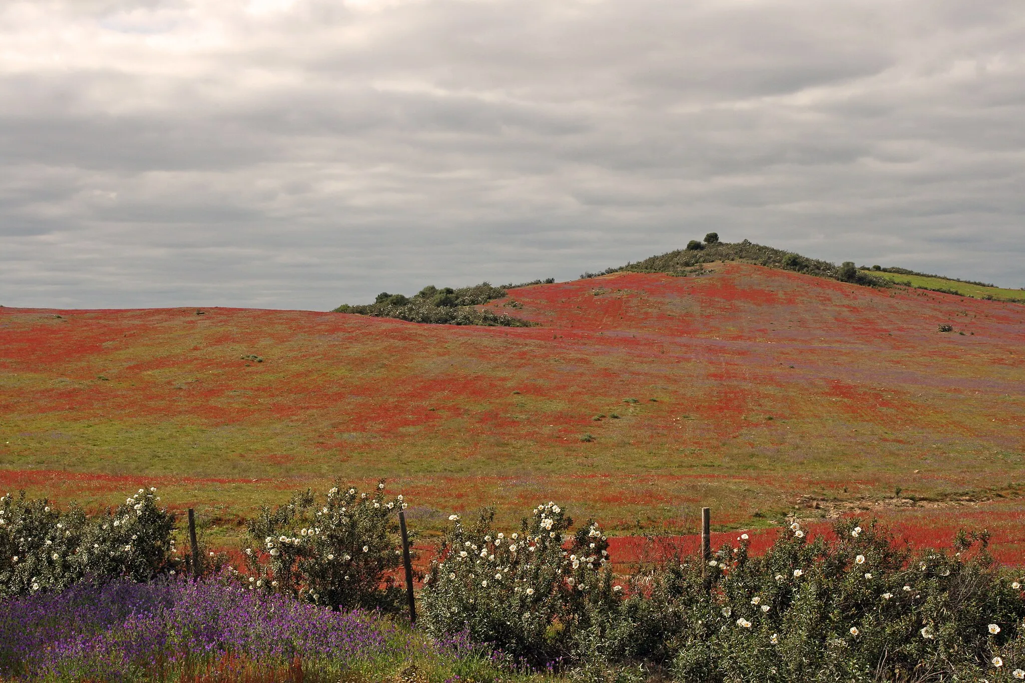 Photo showing: Colourful hill near Mértola in Portugal