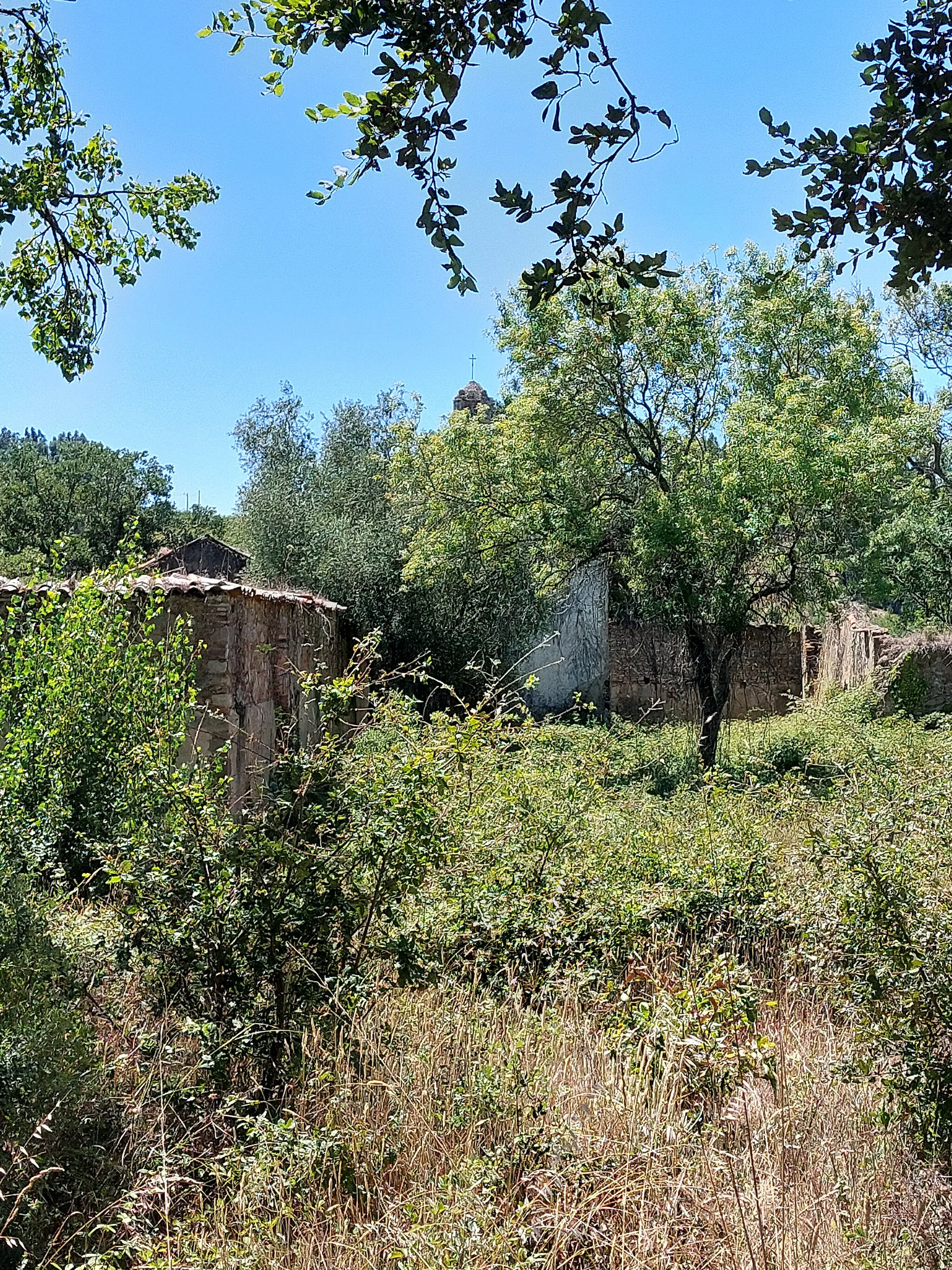 Photo showing: Enquadramento da Ermida de Vila Verde de Mato coberta por vegetação agreste. As coordenadas do SIPA apontam para 850m para sul da localização real da Ermida em 39.32683822246368, -9.083968585644051.