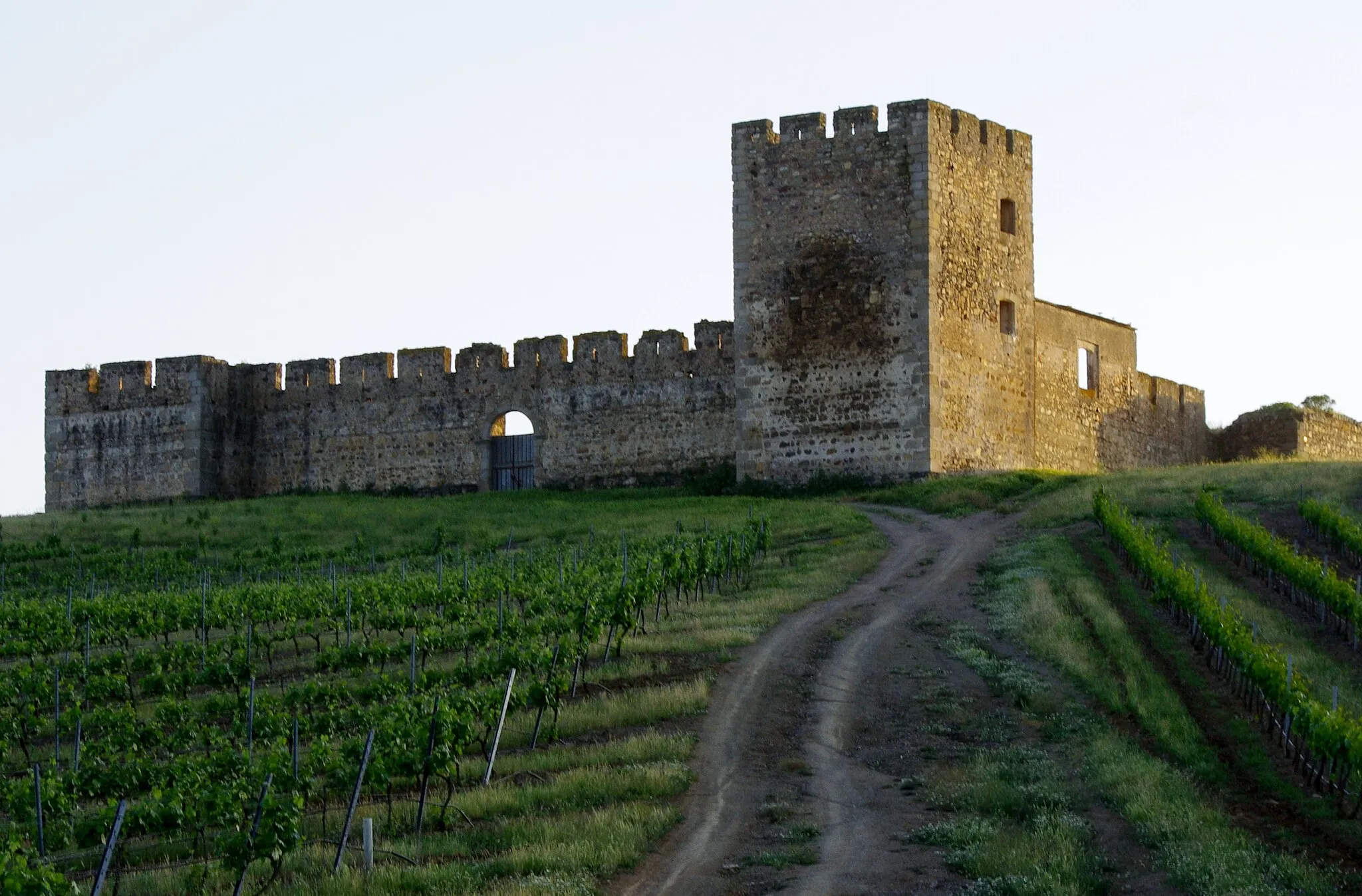 Photo showing: The "Castle of Valongo" is a classic quadrangular fortress that was built around 1250 on the foundations of a much older building.  The tall Medieval tower on the corner dates from an older Gothic castle and contains numerous Arabic inscriptions.  The castle is now on private property but visitors are welcome to stroll around the outside or (as we did) have a lovely picnic in the shade of the castle walls.  The small castle hill affords lovely views over the vineyards and olive orchards that surround it.