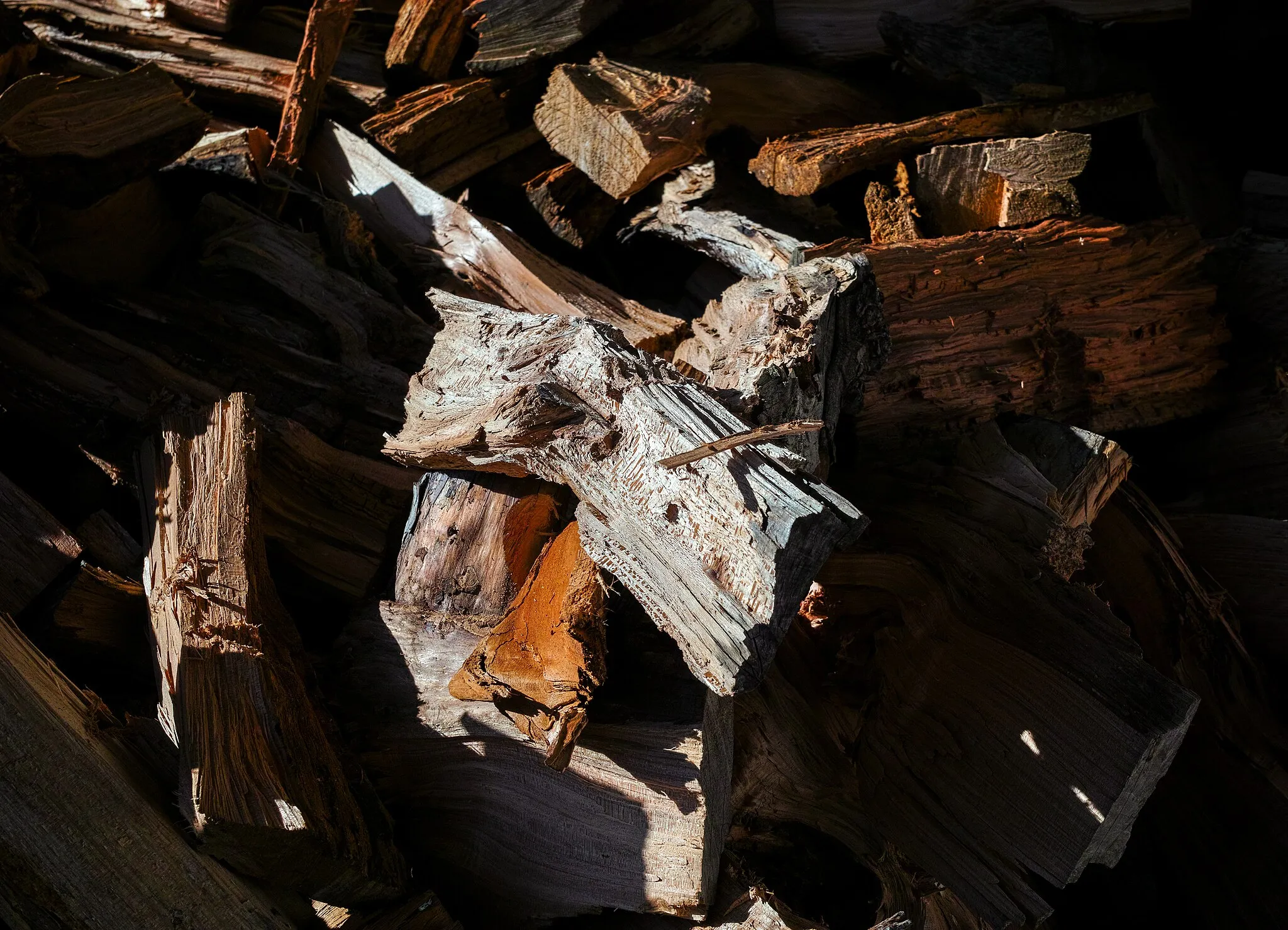 Photo showing: Chopped firewood, Ponte de Sor, Portugal (approx. GPS location)