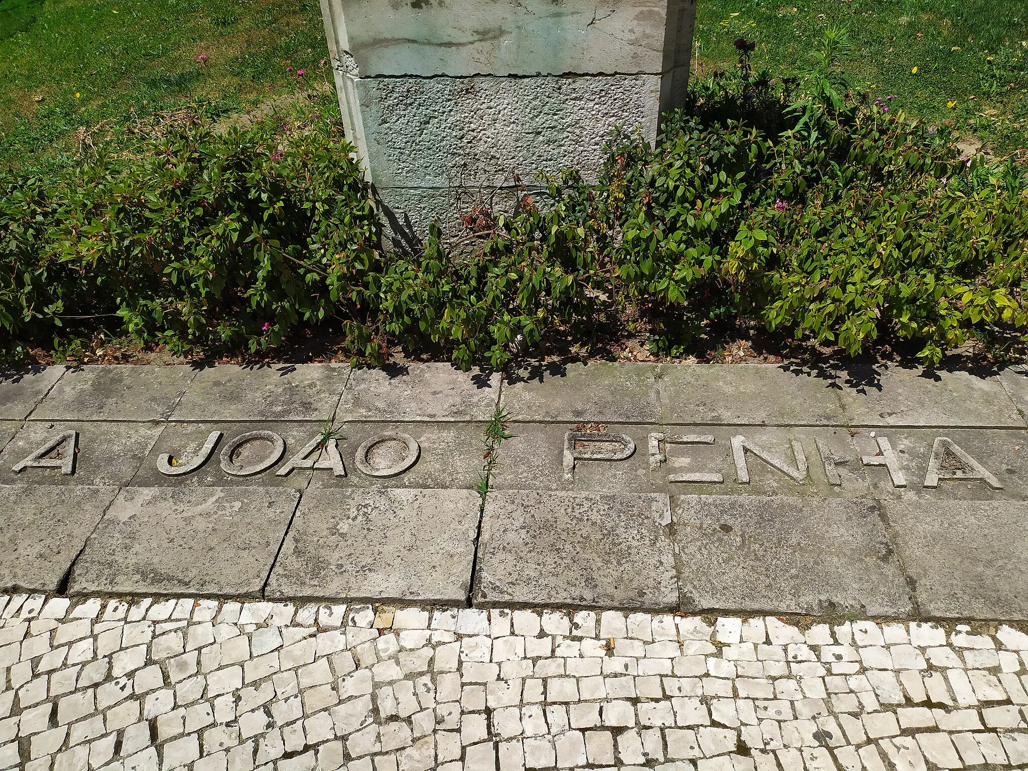 Photo showing: Busto de João Penha