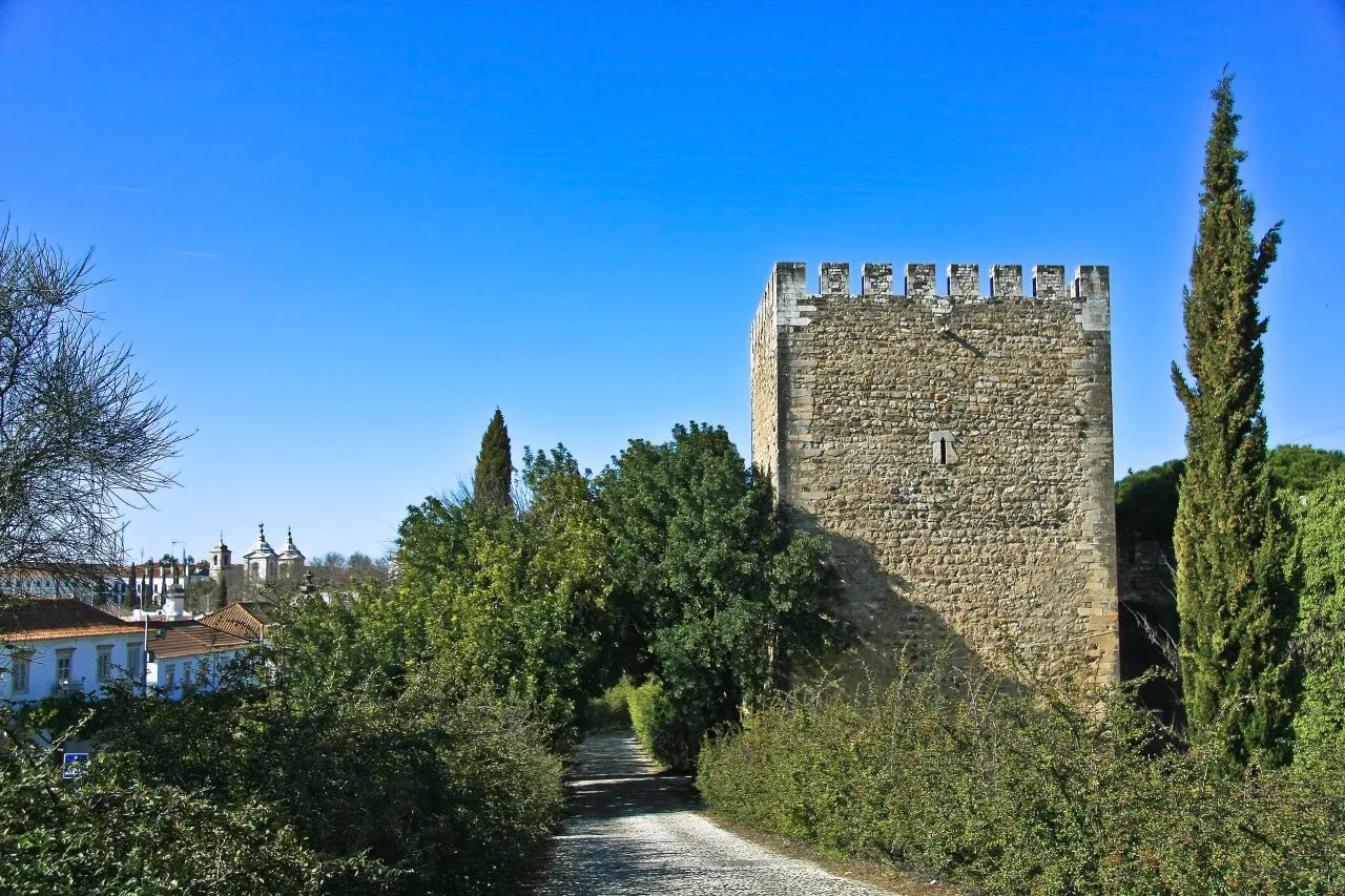 Photo showing: Dominando a paisagem urbana da vila, ergue-se o monumental Castelo, primitiva residência dos duques brigantinos, construído nos finais do século XIII. “O Rei Lavrador (D. Dinis), nas suas visitas aos Agostinhos, de que era particularmente devoto e em cujo mosteiro pousava, ao ver o cómoro do Poente, dominando os carrascais, boa sentinela que poderia ser numa linha defensiva raiana e bom padrasto para a vila criada, pensaria em fortaleza-lo”, ignorando-se entretanto quem foram os seus construtores e em que datas se iniciou e completou a opulenta obra; sabe-se, porém, que em 1297 já tinha alcaide, que foi Soeiro Peres.
É a fortaleza quadrangular de traçado semelhante ao desenho de um projecto conhecido de Leonardo da Vinci. É aliás, nota do historiador calipolense Joaquim Saial, o qual a propósito deste monumento esclarece: “No sítio onde se ergue a actual fortificação renascentista, esteve desde os finais do século XIII até ao início do século XVI o antigo castelo medieval da época de D. Dinis (ampliado no reinado de D. Fernando). Como refere Túlio Espanca este desapareceu na 2ª vintena do século XVI, quando os duques donatários D. Jaime e D. Teodósio I construíram a subsistente fortaleza artilheira, de tipo italiano mas seguindo o modelo das praças africanas e industânicas que os Portugueses haviam introduzido nas suas conquistas ultramarinas”. Tem à sua volta um fosso de sete metros de altura e seis de largura.
Subsistem hoje na cerca das muralhas quatro portas, assim designadas: a de Évora e a da Torre, ambas viradas ao poente; a de Estremoz, aberta para o lado Norte e a de Olivença ou do Sol, na ilharga sul que era também a chamada Porta da Traição. A entrada na fortaleza faz-se hoje através de uma reconstituída ponte levadiça para acesso ao pátio interior, onde está a cisterna do castelo, e aos museus que nas suas dependências se instalaram recentemente. Fora, na antiga e já desaparecida Cerca Velha, obra que se atribui à iniciativa dos duques D. Jaime e D. Teodósio I, existiam as Portas da Esperança, a nascente, a de S. Sebastião, a de Santa Luzia, voltada a Poente.
No interior da cerca nova, a actual, além da igreja matriz de Nossa Senhora da Conceição e dos cemitérios municipais, subsistem alguns antigos arruamentos da planta medieval, onde ainda e podem observar vestígios da arquitectura primitiva como as portas ogivais da que teria sido residência de Nuno Álvares Pereira.
Foi este castelo palco de intensas lutas por ocasião das Guerras da Independência (1383-1385), da Restauração (1640-1665) e da Sucessão de Espanha (1711) tendo sido Vila Viçosa, por mais de uma vez, quartel-general dos exércitos do Alentejo. Além do Condestável, estão ligadas aos feitos militares ocorridos nomes como Álvaro Gonçalves (século XIV), Cristóvão Brito Pereira (século XVII) e Jerónimo do Carvalhal (século XVII).
A Torre de Menagem foi erguida no reinado de D. Fernando, afastada do Castelo.
7maravilhasdevilavicosa.blogspot.com/2007/02/castelo-e-to...

See where this picture was taken. [?]