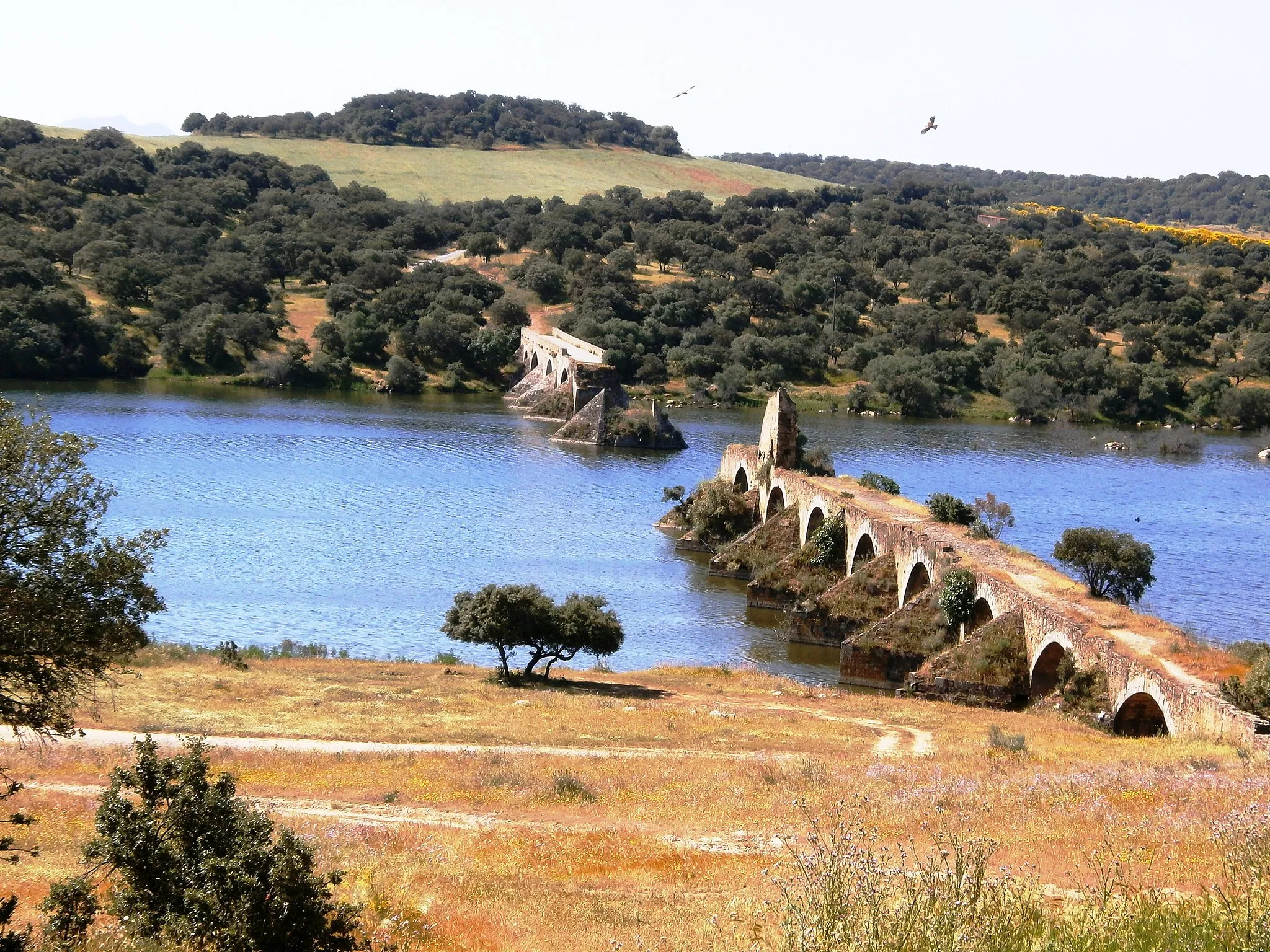 Photo showing: This is a photography of a Special Area of Conservation in Spain with the ID: