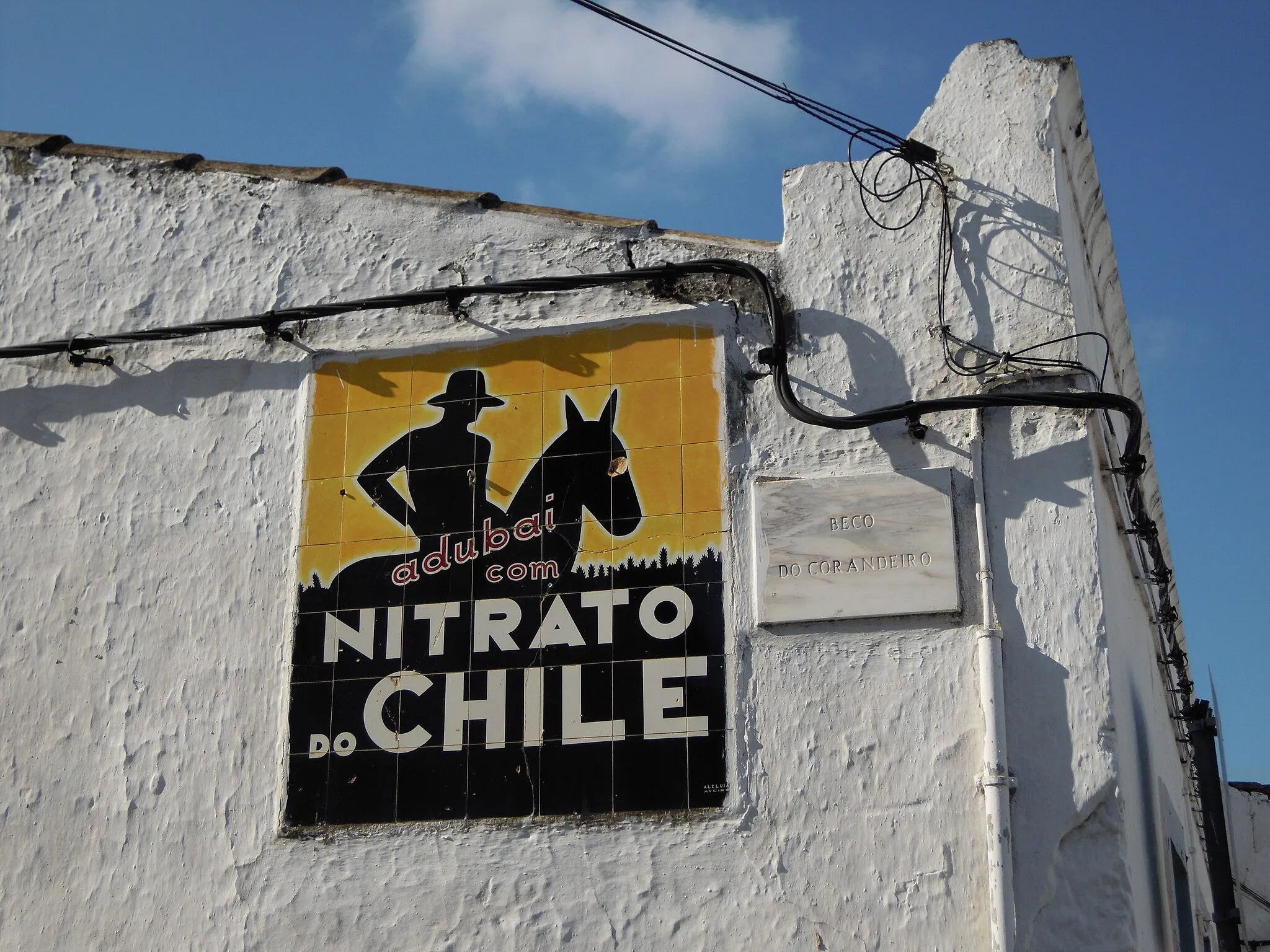 Photo showing: An old advertisment for a Sodium Nitrate product on the corner of Rua Primeiro de Maio with Beco do Curandeiro (corandeiro) in the village of Santa Catarina da Fonte de Bispo, Algarve, Portugal