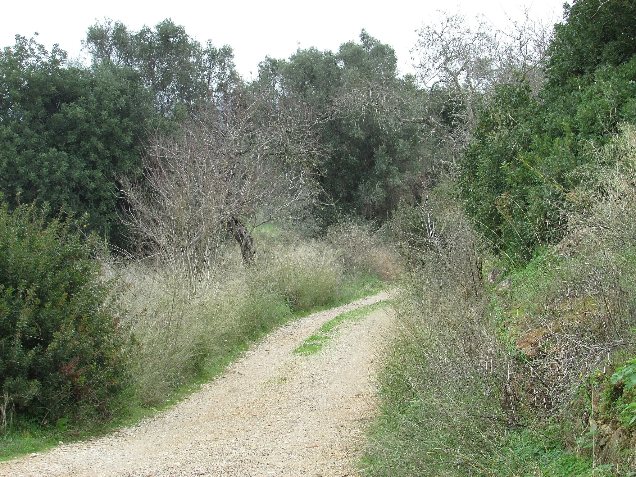 Photo showing: Looking east along an unpaved section of the Caminho Quinta da Bolota in the city of Albufeira, Algarve, Portugal.
