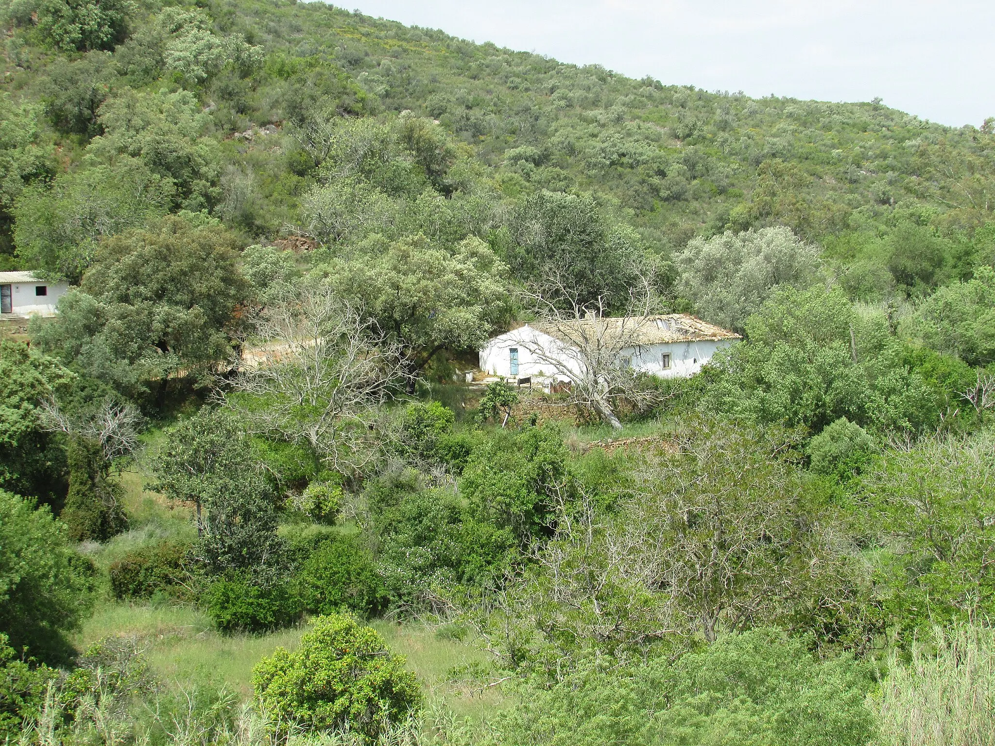 Photo showing: Looking across the vally of the Benémola river near Querenca, Loulé, Algarve, Portugal.