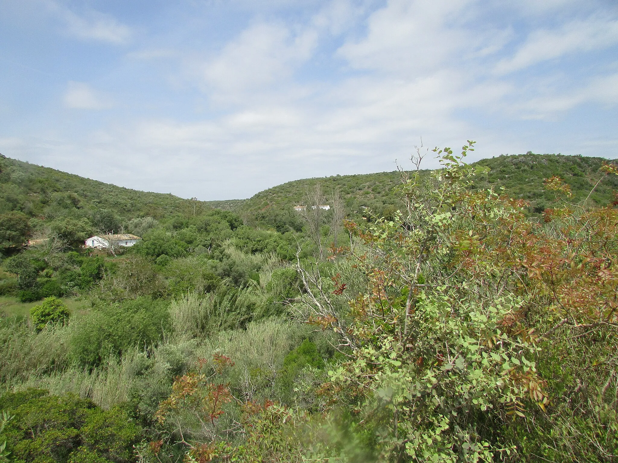 Photo showing: Looking across the vally of the Benémola river near Querenca, Loulé, Algarve, Portugal.