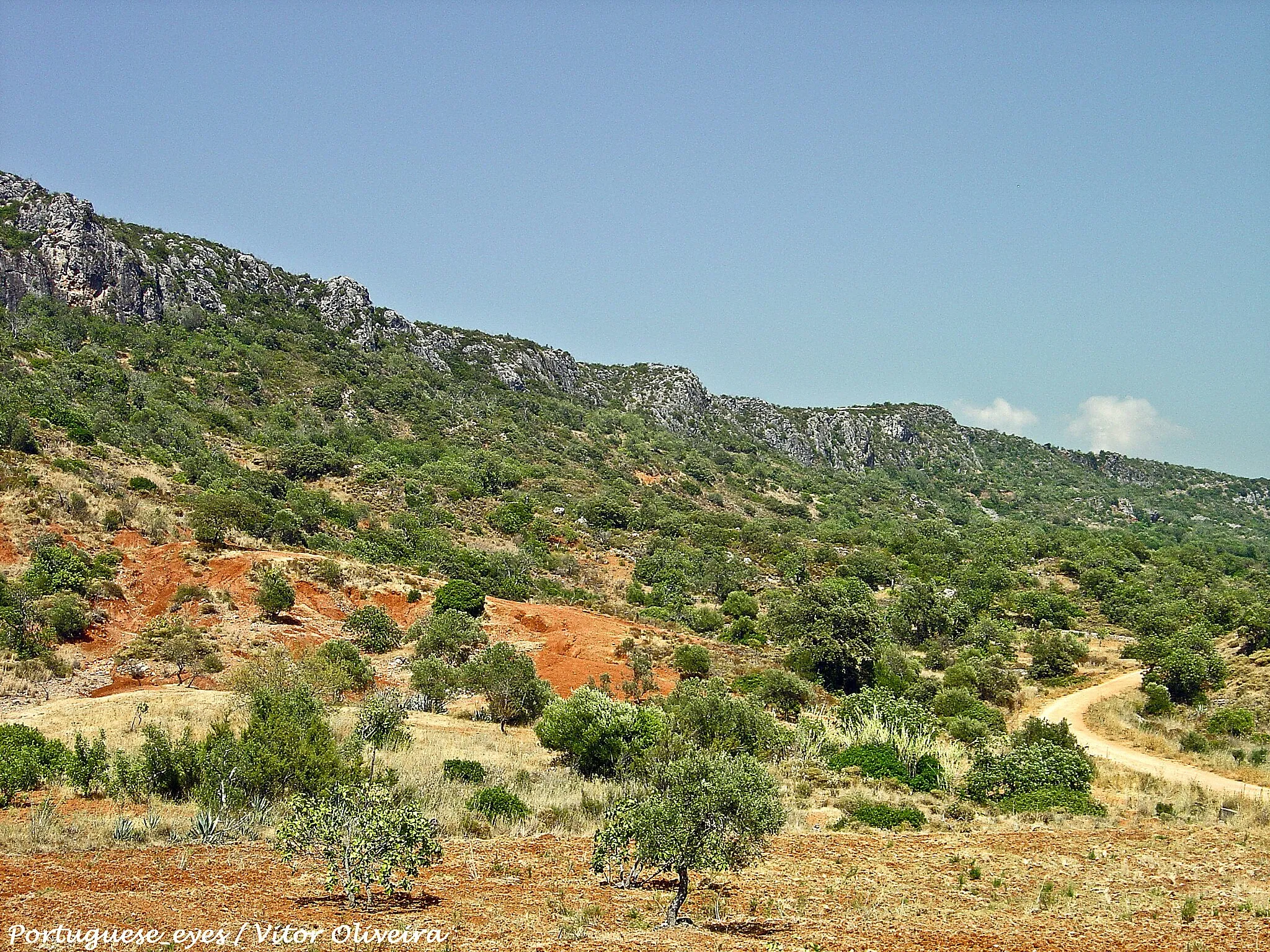 Photo showing: O Sítio Classificado da Rocha da Pena localiza-se nas freguesias de Salir e Benafim e estende-se por uma área de 637 ha.
O local possui um relevo agreste, com uma cornija calcária com cerca de 50 m de altura, cujo planalto atinge aproximadamente 2 km de comprimento. A altitude máxima do mesmo é de 479 m.
Ao longo dos anos, a acção da água na rocha calcária provocou fendas e deu origem a grutas, algumas das quais com grandes dimensões.
A flora é rica e variada. Julga-se que existem mais de 390 espécies de plantas, sendo algumas delas endémicas, medicinais ou aromáticas. Destacam-se a Rosa Albardeira (Paeonia broteroi), pela sua beleza, a Bellevalia hackelii, o Allium pruinatum, endémicos, a Milfurada (Hypericum perfuratum), o Alecrim (Rosmarinus officinalis), bem como muitas espécies de orquídeas selvagens.
Relativamente à fauna, salienta-se a presença de aves de rapina, nomeadamente, a águia de Bonelli e a águia de asa redonda. Existem também muitas outras espécies como o abelharuco, que escava o seu ninho nos taludes dos terrenos, o pica-pau-malhado-grande, e os chapins, entre outros. Existem, ainda, pequenos mamíferos como a gineta, o saca-rabos, os coelhos e os ouriços e mamíferos de maiores dimensões como os javalis.
Este Sítio Classificado possui algum património construído, de grande interesse, como sejam os dois amuralhamentos de pedra, existentes no topo da Rocha da Pena, que se julga remontarem à Idade do Ferro e que terão sido utilizados outrora como estratégia de defesa. No topo da Rocha da Pena, existe ainda uma gruta que é conhecida como o Algar dos Mouros, pois foi aí que estes se refugiaram aquando da reconquista de Salir por D. Paio Peres Correia.
Na aldeia da Penina existe um portal em arcada e uma chaminé datada de 1827. Ligados à utilização agrícola, podem observar-se ainda dois moinhos de vento, conhecidos como os moinhos da Pena.

Numa outra vertente e devido à sua geologia, este Sítio é muito procurado para a prática do desporto de escalada. Neste sentido, têm sido efectuadas reuniões com diversas entidades, com vista a ordenar esta actividade. Para além disso, prevê-se a instalação de um Centro de Interpretação que permita prestar informações aos inúmeros visitantes e apoiar as diversas actividades a realizar. Ao longo do percurso irão surgir zonas de lazer e de descanso ao longo do percurso, necessário complemento das condições de acolhimento e atracção que hão-de caracterizar os próprios Sítios. www.cm-loule.pt/index.php?option=com_content&task=vie...