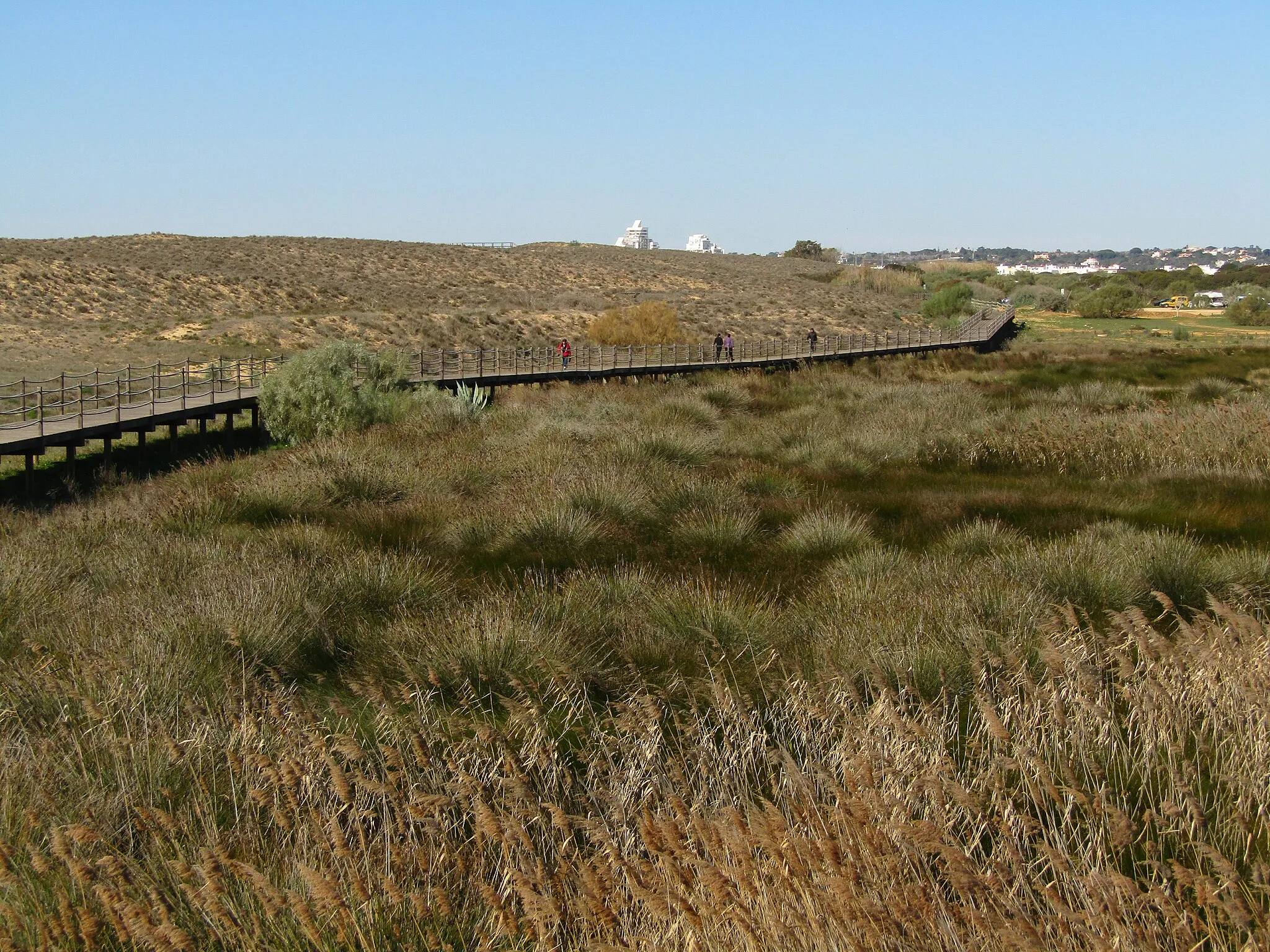 Photo showing: The boardwalk and reed beds along the edge of Salgados lagoon close to the neighbourhood of Salgados, Albufeira, Algarve, Portugal.