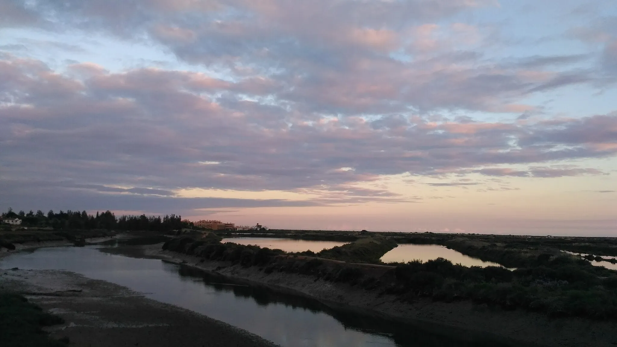 Photo showing: Troço da Ribeira da Almargem a jusante da ponte ferroviária.