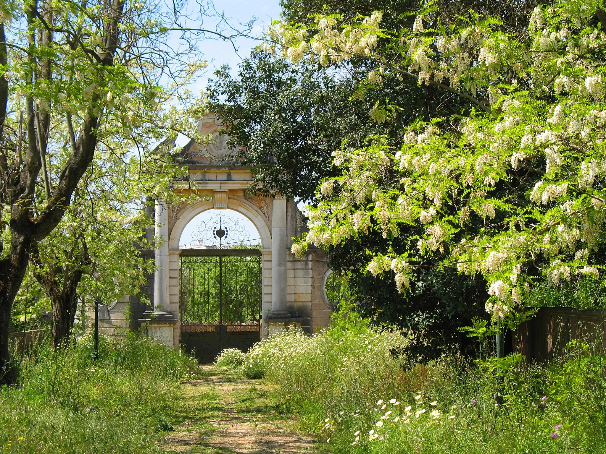 Photo showing: Baroque gate and gardens, with blooming Robinia pseudoacacia, of the Palácio de Estoi.
Located in Estoi, Faro district, Algarve region, Portugal.