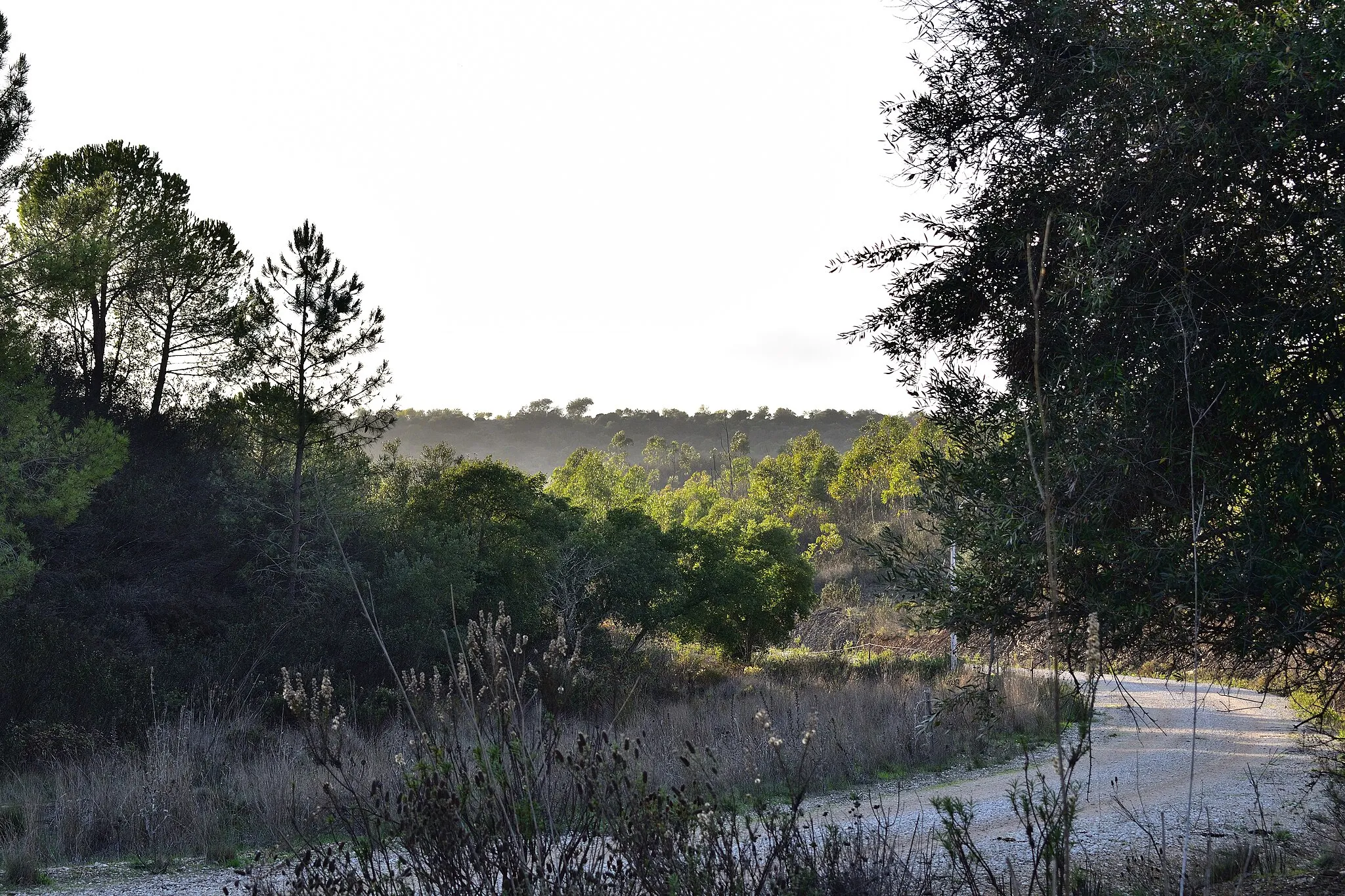 Photo showing: Hill where the archaeological site of Castelo Belinho is located, in Portimão, Algarve - Southern Portugal.