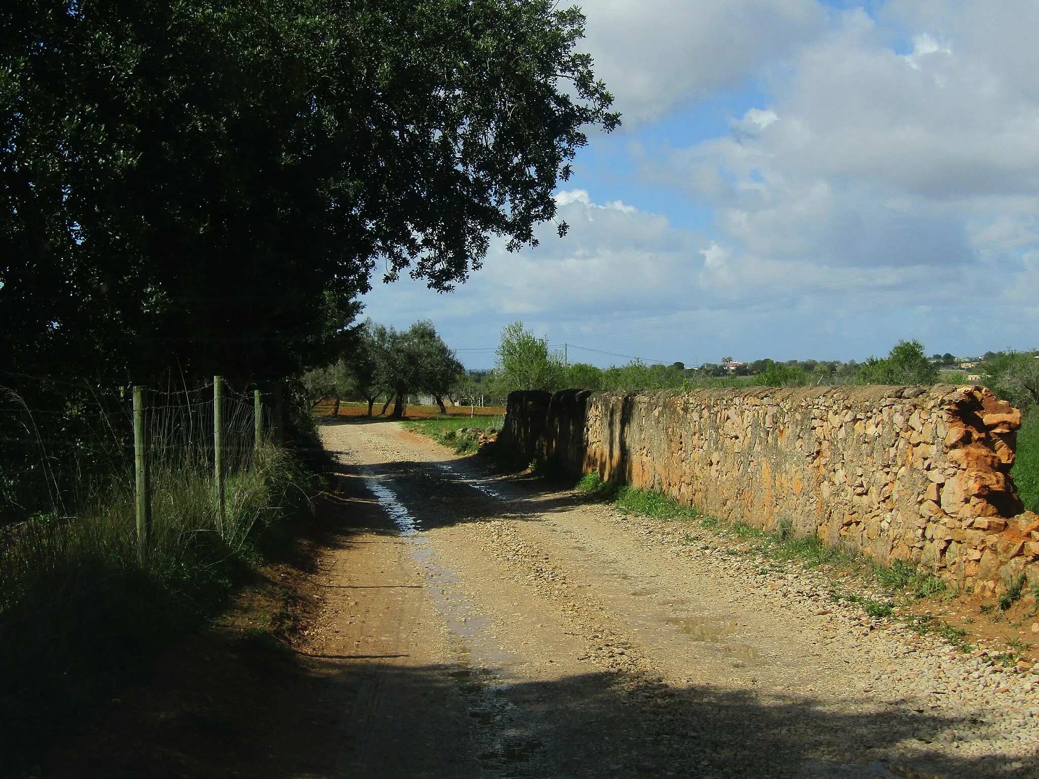 Photo showing: Looking west along the Caminho do Monchiquense in the neighbourhood of Vale Verde north west of the city of Albufeira, Algarve, Portugal.