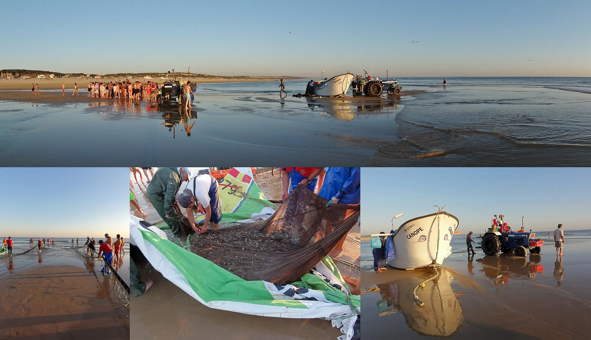 Photo showing: Seine fishing using two tractors and one fishing vessel.
Praia da Saúde (in English, Beach of Health) is a beach at Costa da Caparica with typical small fishing houses, next to Almada at 15 kilometers of the Lisbon city in Portugal (sunset 21:18).