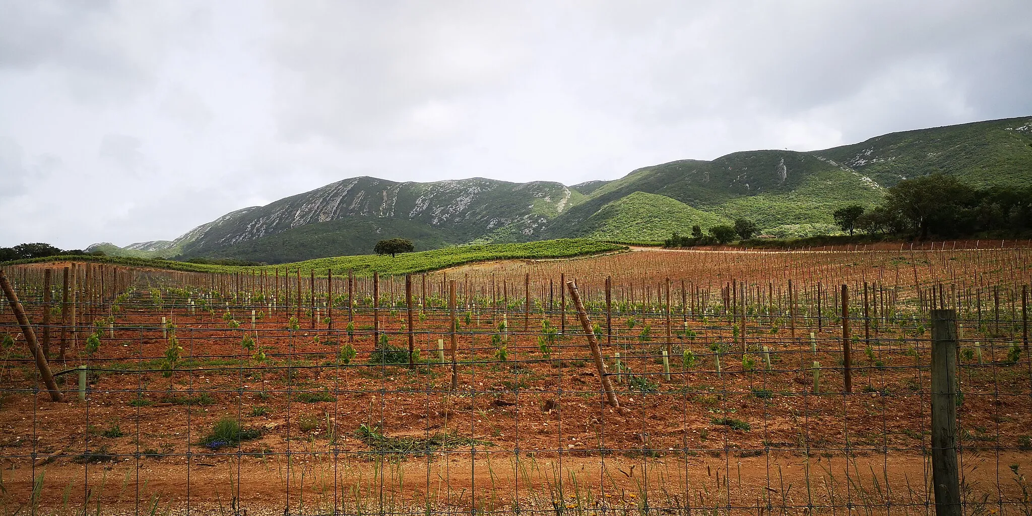 Photo showing: This is a photography of a protected area of Portugal indexed in the World Database on Protected Areas with the ID: