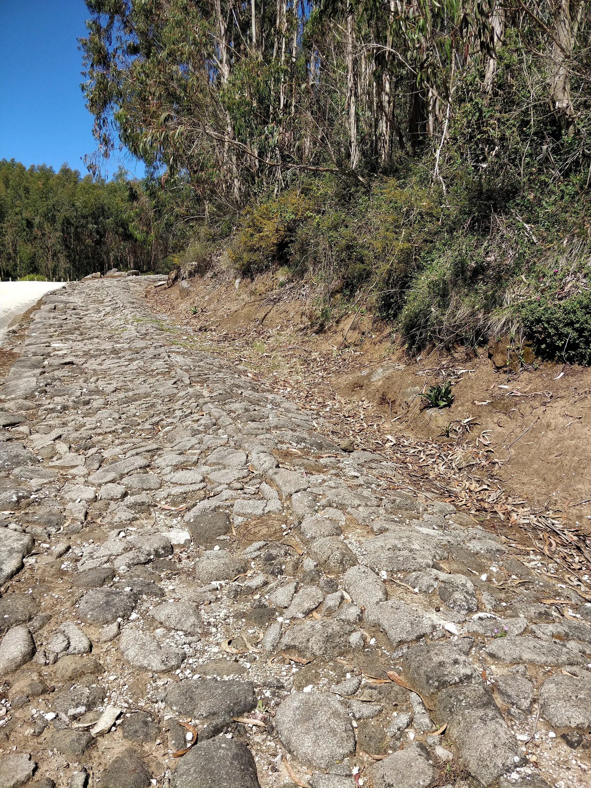 Photo showing: Fort of Alqueidão. Original approach road built in 1809-10 during the Peninsular War