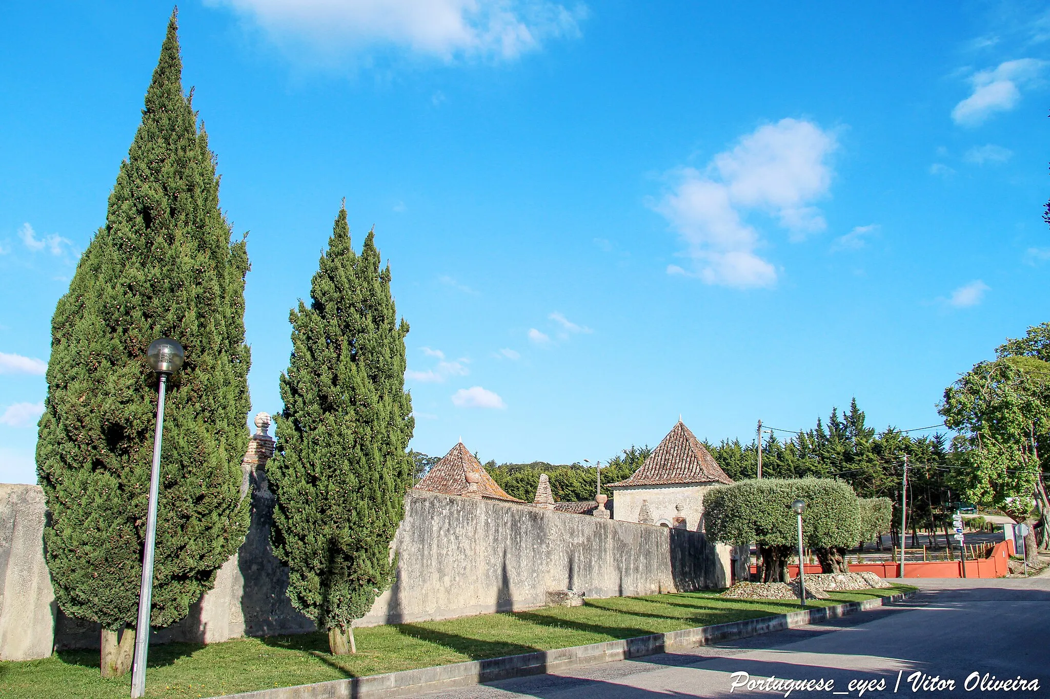 Photo showing: A Quinta e o Palácio da Bacalhôa encontram-se inseridos numa paisagem singular com um enquadramento histórico que data do inicio do século XIV. A arquitectura e a decoração dos jardins do Palácio mostram influências dos descobrimentos portugueses, memórias dos seus primeiros proprietários inspirados nas viagens através da Europa, da África e do Oriente, contribuindo assim para a transformação deste espaço numa jóia única.
Ao longo dos tempos a Quinta foi sendo embelezada com azulejos portugueses do século XV e XVI evocando desenhos mouriscos, e com uma casa de fresco com vista para a Quinta. Do interior ao exterior, é possível ver peças únicas da colecção de arte privada do Comendador Berardo, passando pelos jardins e vinhas até à casa de fresco onde podemos encontrar o primeiro azulejo datado em Portugal.
Em 1936, o Palácio da Bacalhôa foi comprado e restaurado por Orlena Scoville, de nacionalidade norte-americana, cujo neto encetou a missão de tornar a quinta num dos maiores produtores de vinho em Portugal, na década de 70 do século XX. Adquirido pelo Comendador Berardo em 2000, é classificado como Monumento Nacional.
Depois de grandes obras de restauro no interior, mantendo a traça original, este monumento abre as suas portas e convida a uma visita a todos os recantos com grande história.
O Museu da Bacalhôa encontra-se na sede do grupo, instalada na Quinta da Bassaqueira. Visite o Museu e descubra as diferentes colecções de obras de arte divididas em três grupos temáticos. O "Out of Africa", uma exposição com o objectivo de homenagear o Honorável, e para sempre Presidente, Nelson Mandela. A exposição "What a Wonderful World", uma passagem para um ambiente de glamour e perfeição, misturando a Art Nouveau com a Art Deco, num cativante ambiente marcado pela euforia dos Anos Loucos. E por fim, "O Azulejo Português do Século XVI ao Século XX", uma exposição que mostra a importância do azulejo em Portugal, usado durante mais de cinco séculos acabou por se transformar numa autêntica contribuição nacional para o património cultural e artístico mundial.
Actualmente, a Quinta da Bacalhôa pertence à Fundação José Berardo e à Bacalhôa Vinhos de Portugal.

www.winetourismportugal.com/pt/catalogo/adegas-vinhas/pal...