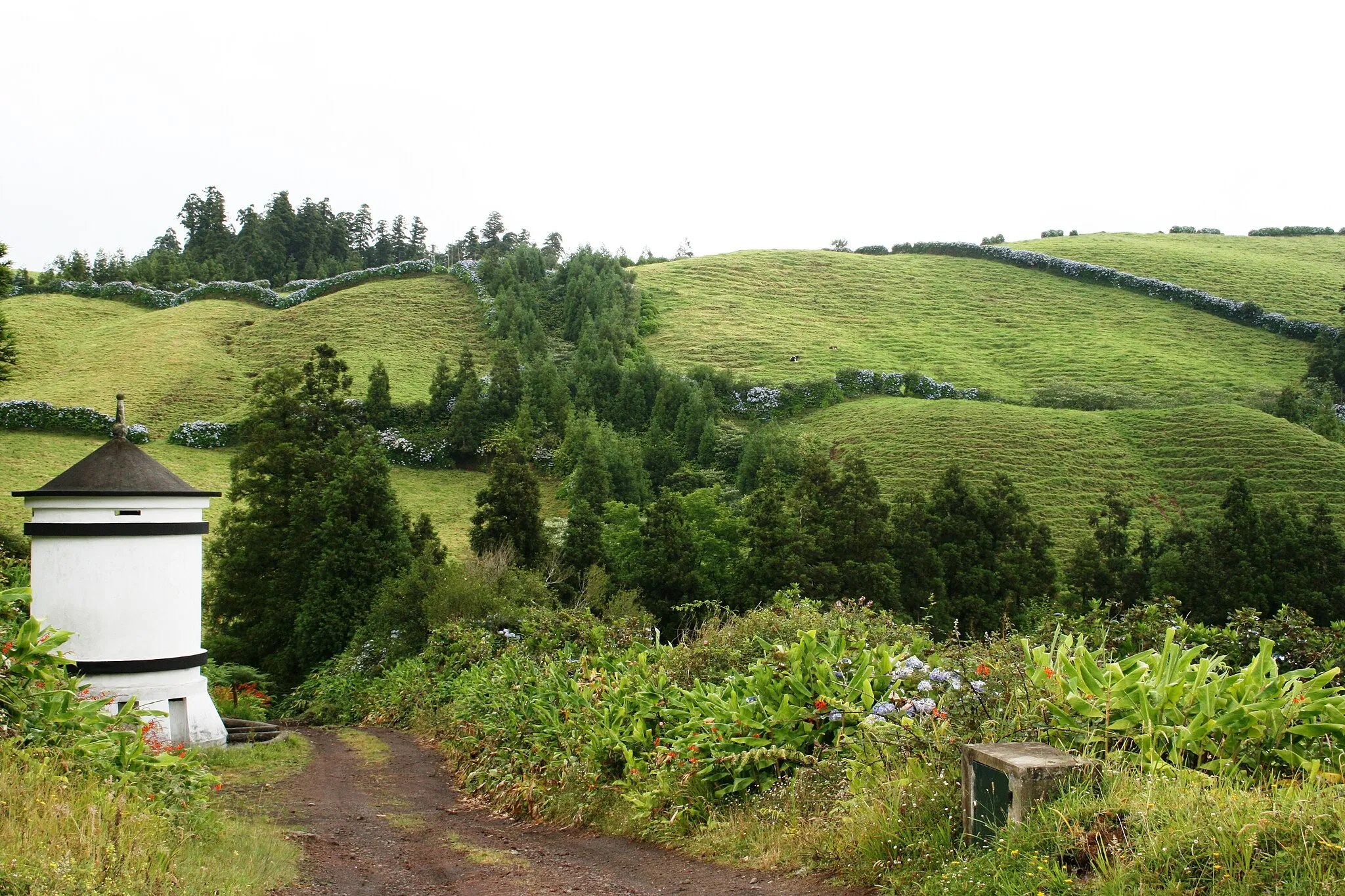 Photo showing: Sao Miguel Azores