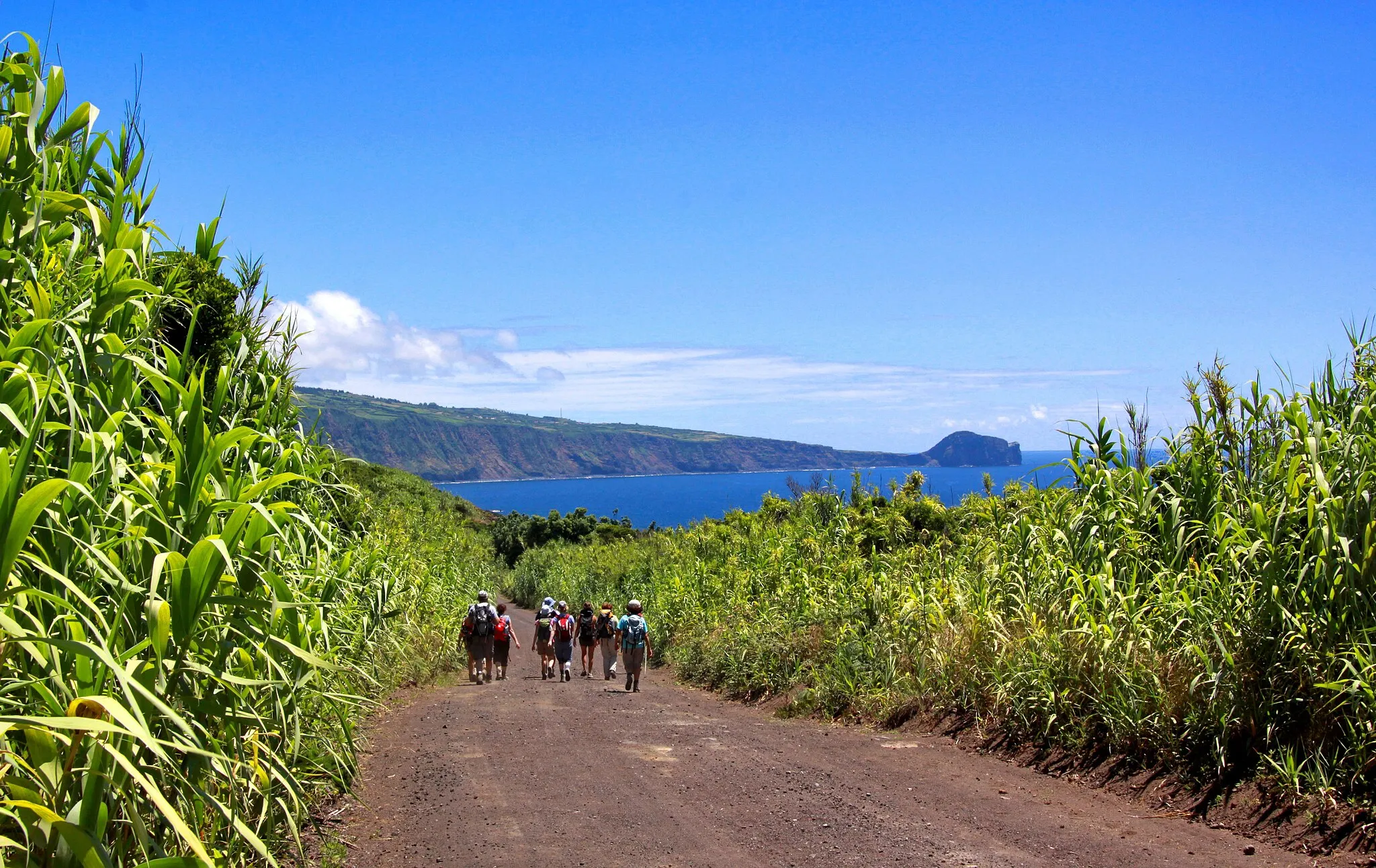 Photo showing: Ilha do Faial, Açores.

Promenade entre la Ponta dos Capelinhos et Varadouro.
