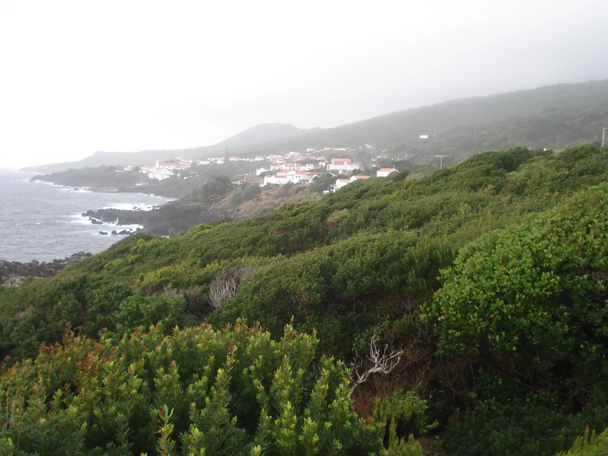 Photo showing: The coast of Pico Island, with the civil parish of São Caetano in the distance.